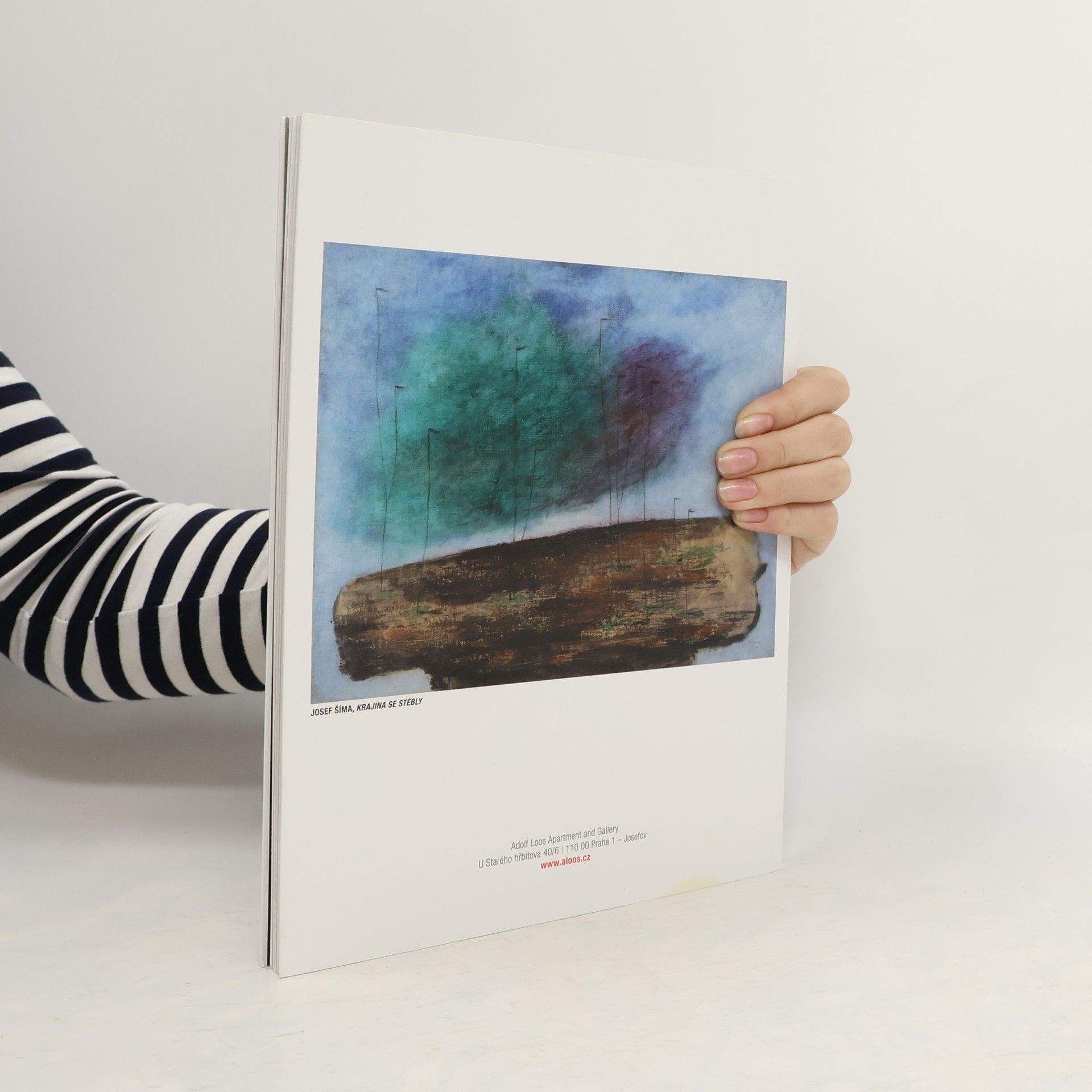 AA.VV. Aukční katalog. Auction Catalogue. 28.4. 2019