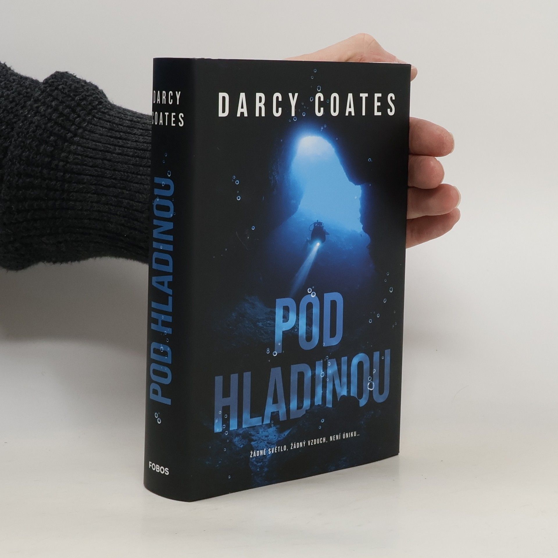 Darcy Coates Pod hladinou