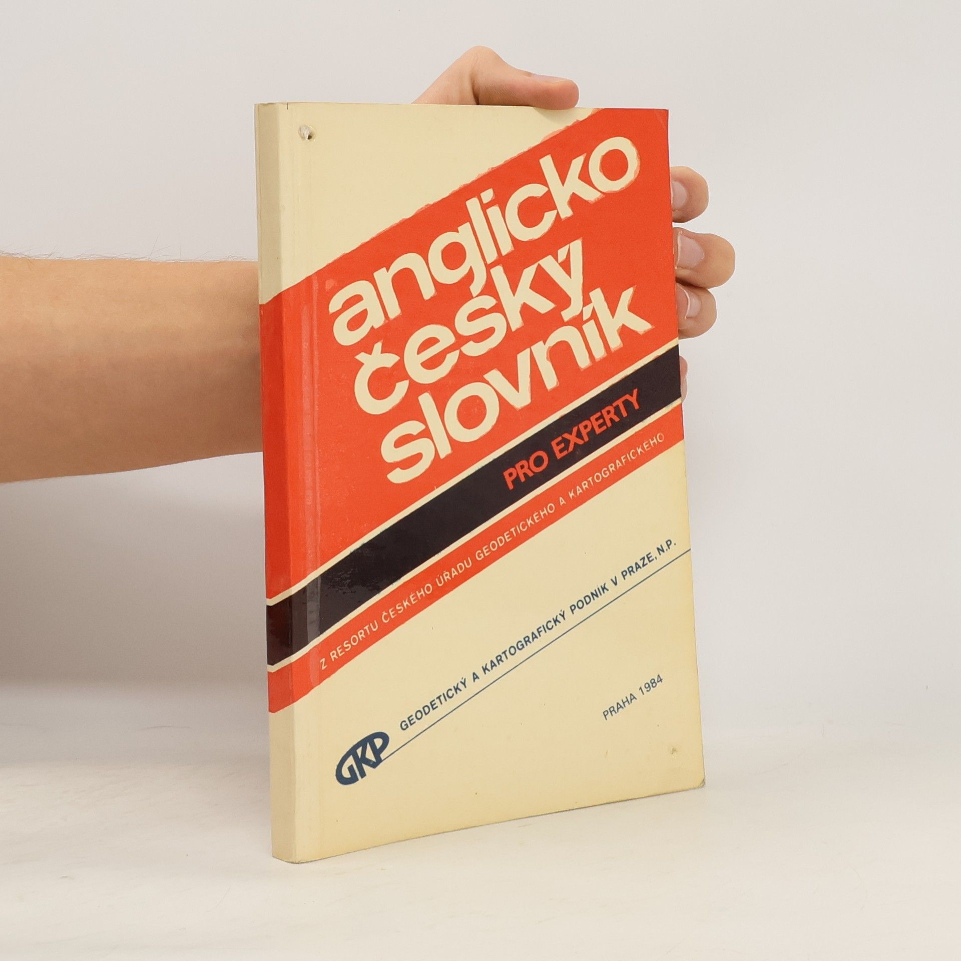 Collectif d'auteurs Anglicko-český slovník pro experty