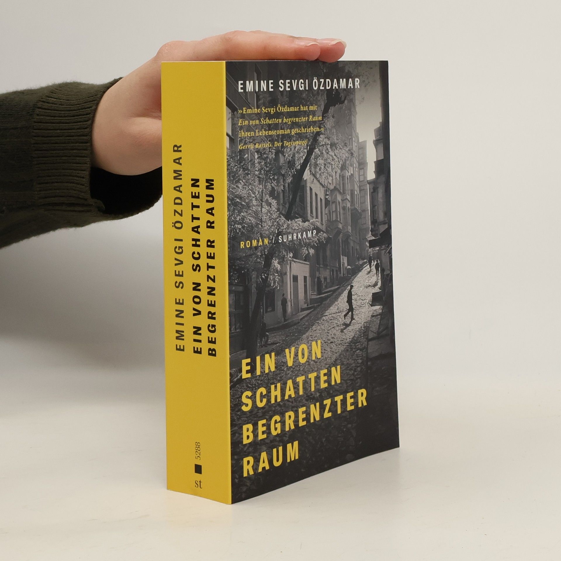 Emine Sevgi Özdamar Ein von Schatten begrenzter Raum