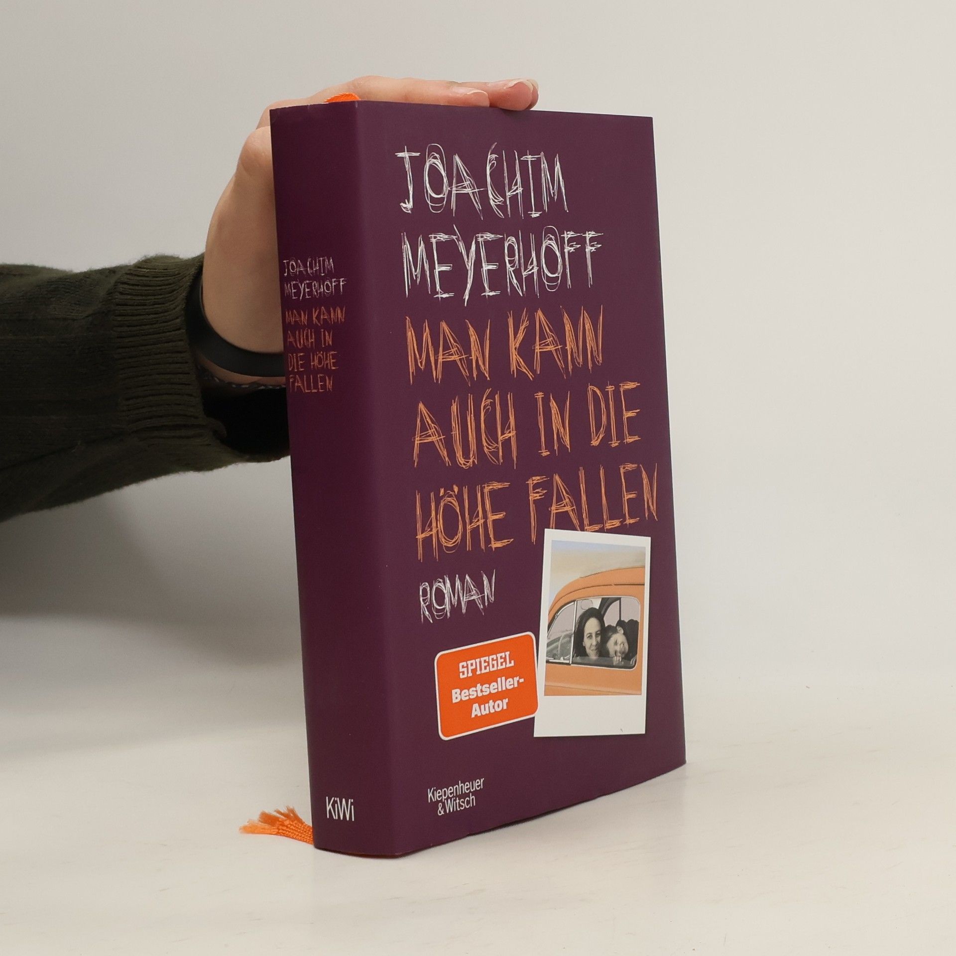 Joachim Meyerhoff Man kann auch in die Höhe fallen