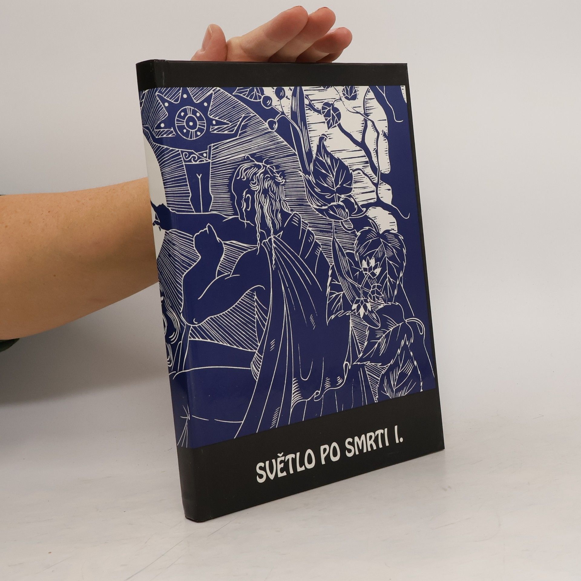 Kolektiv autorů Světlo po smrti I.
