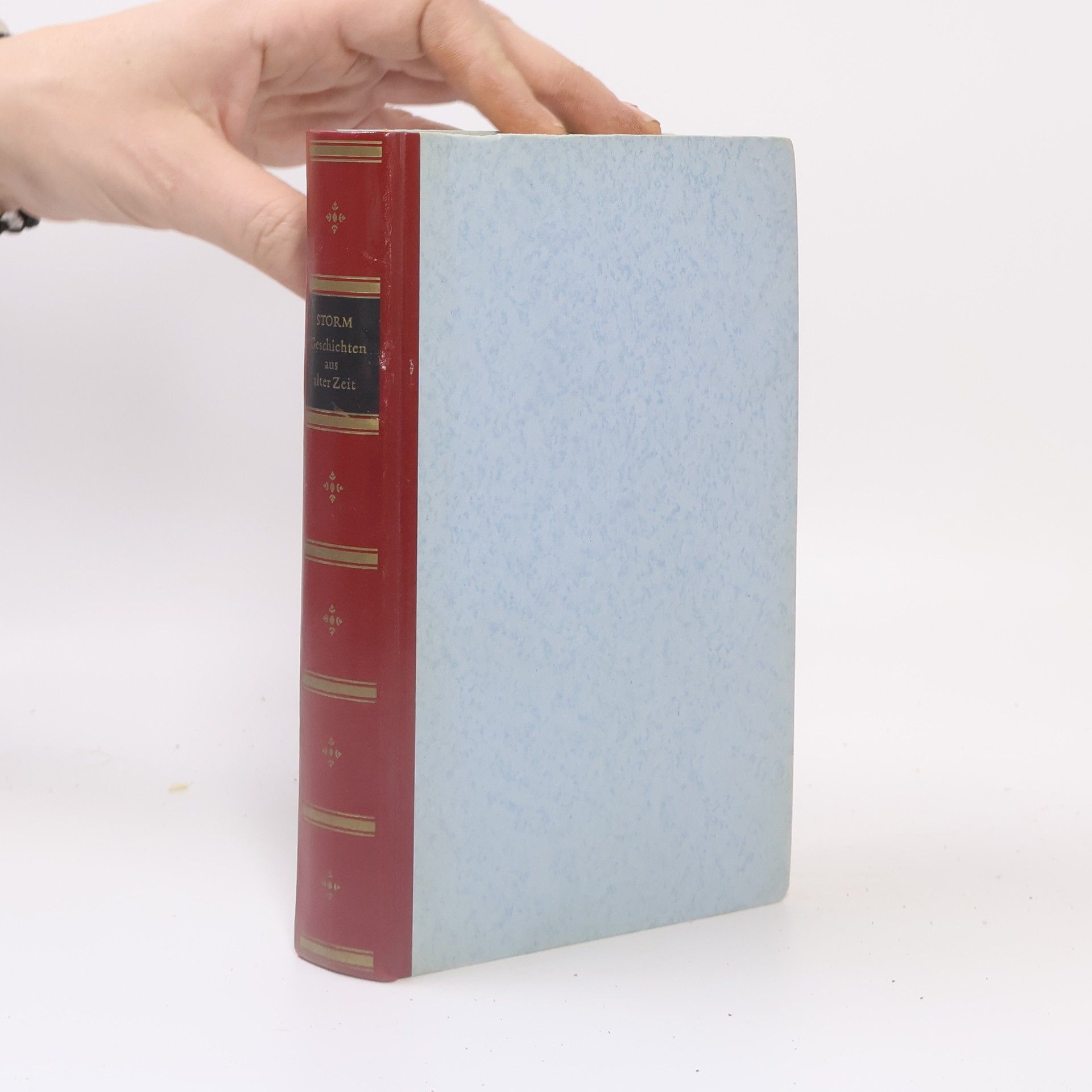 Hans Theodor Woldsen Storm Geschichten aus alter Zeit