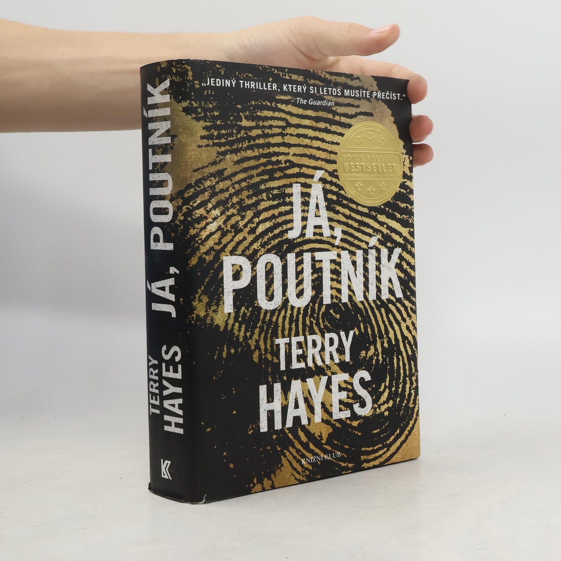 Terry Hayes Já, Poutník