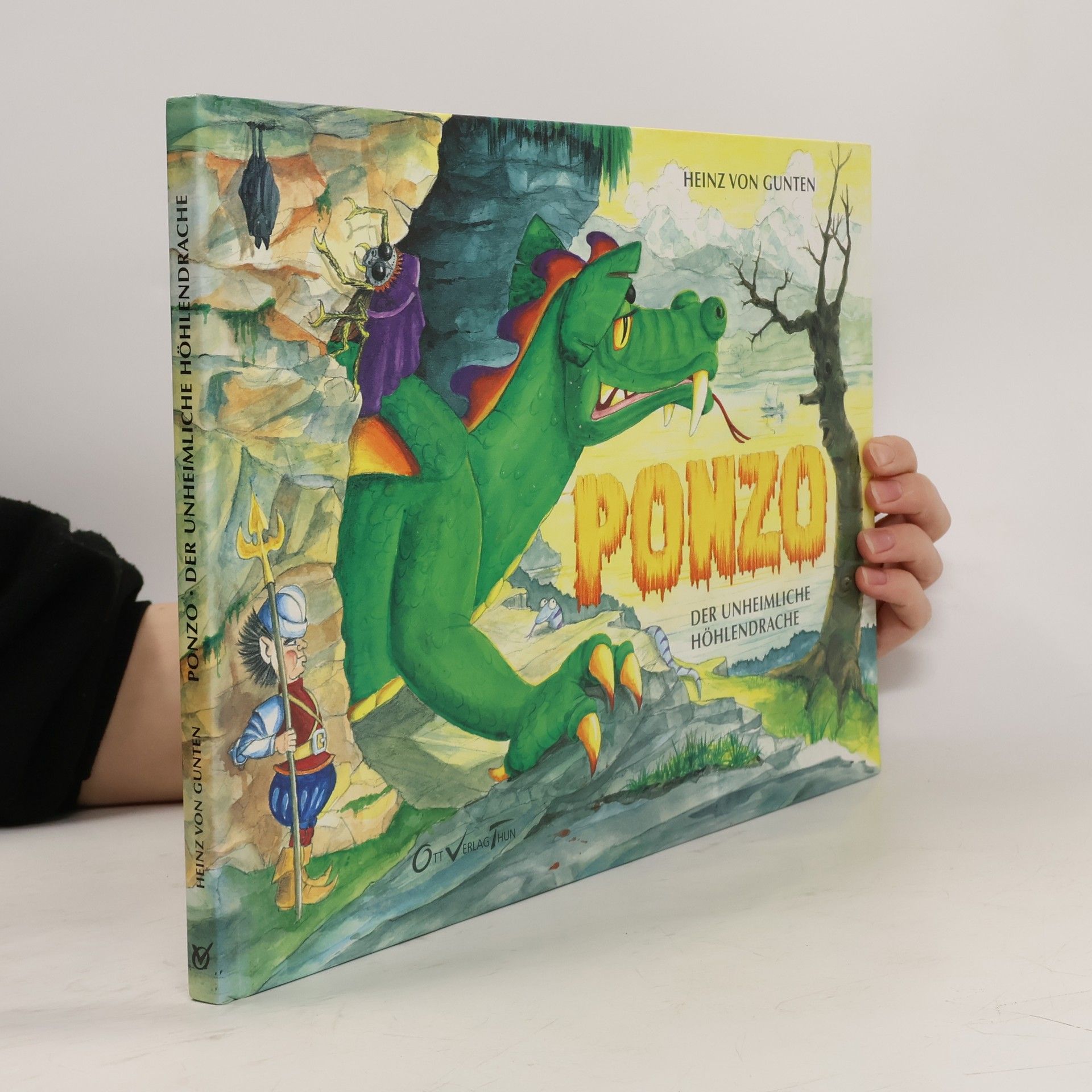 Heinz von Gunten Ponzo