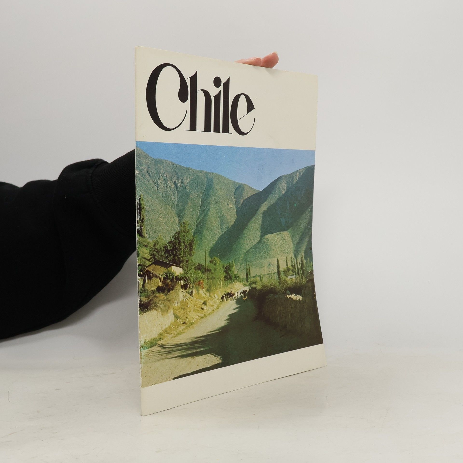 Auteurscollectief Chile