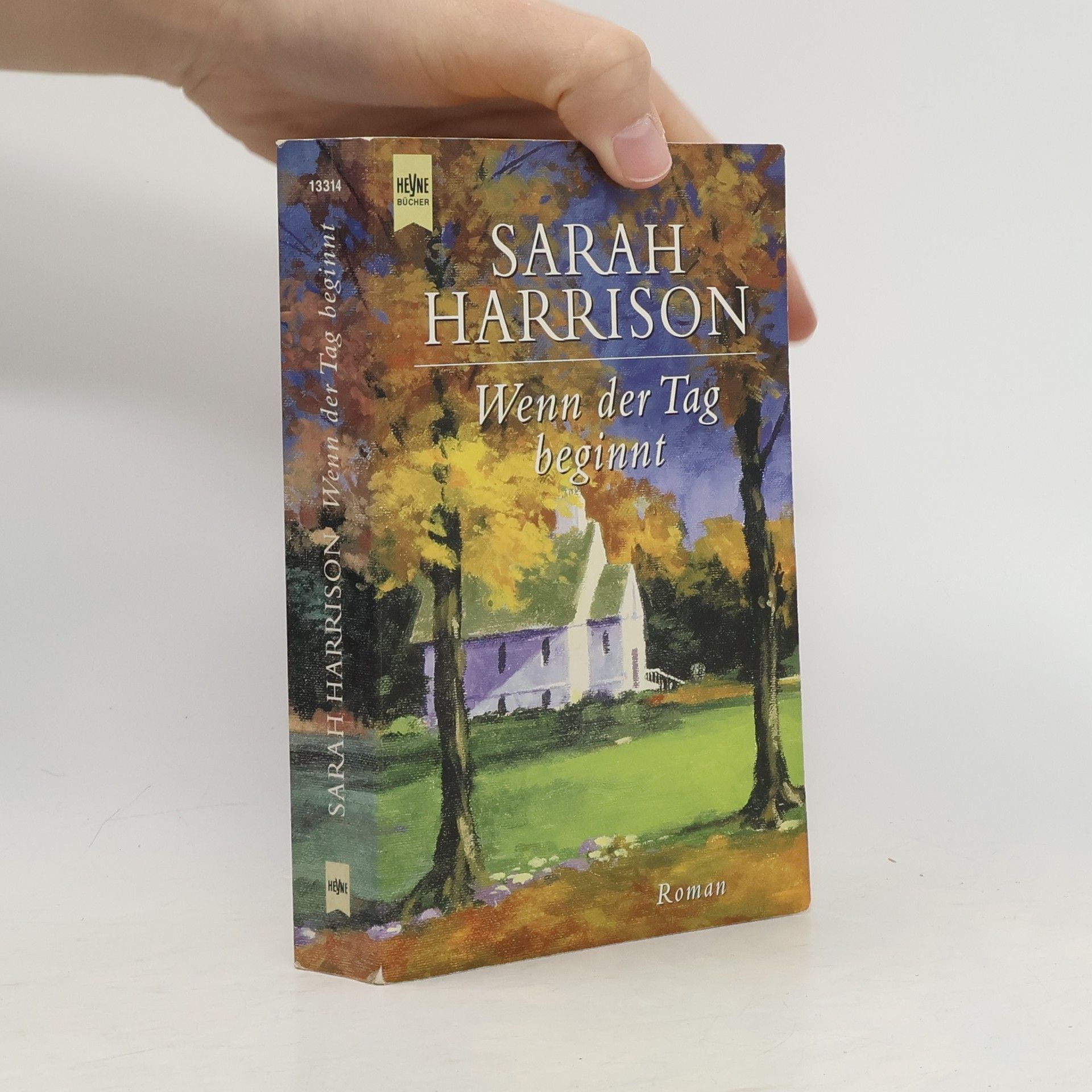 Sarah Harrison Wenn der Tag beginnt