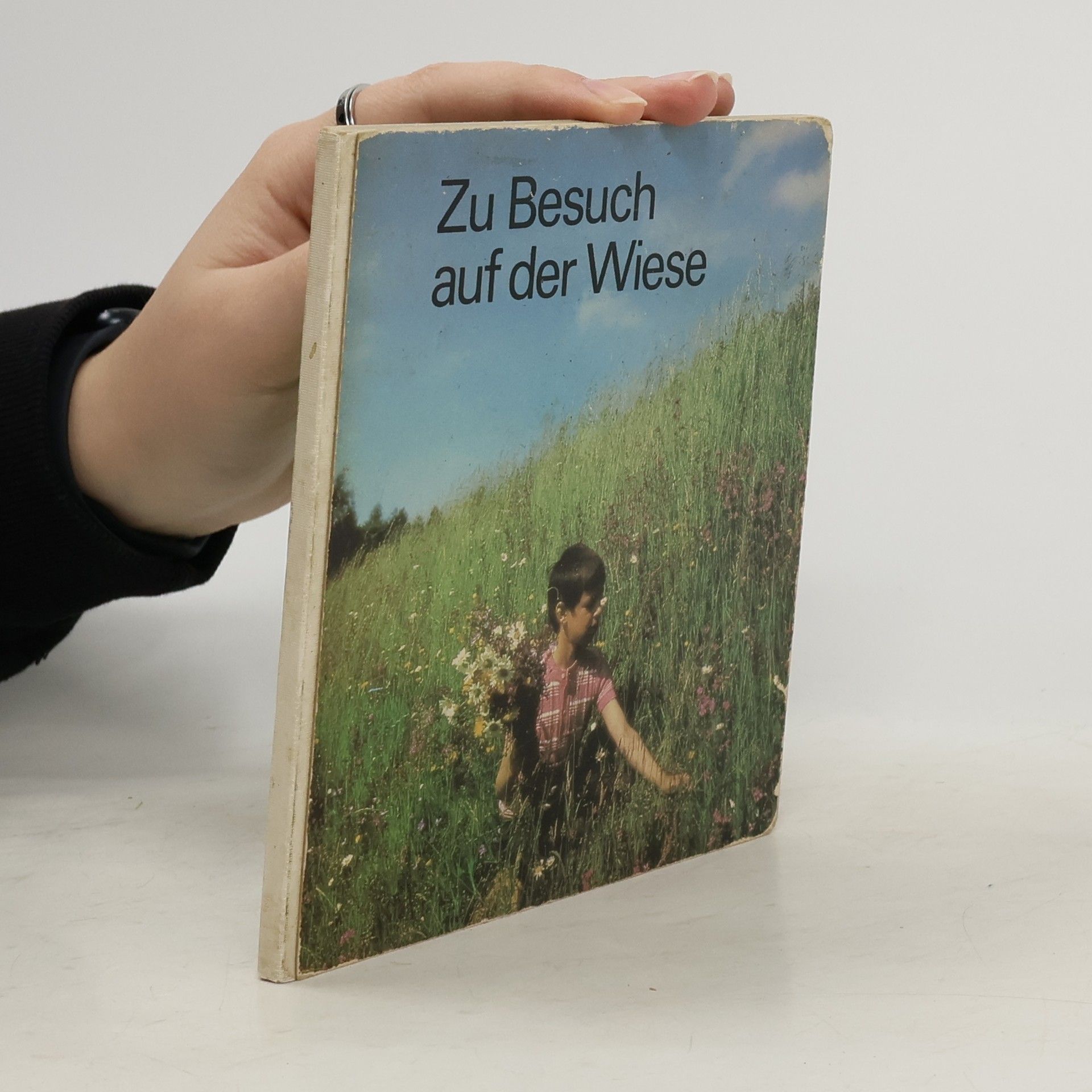 Zu Besuch auf der Wiese