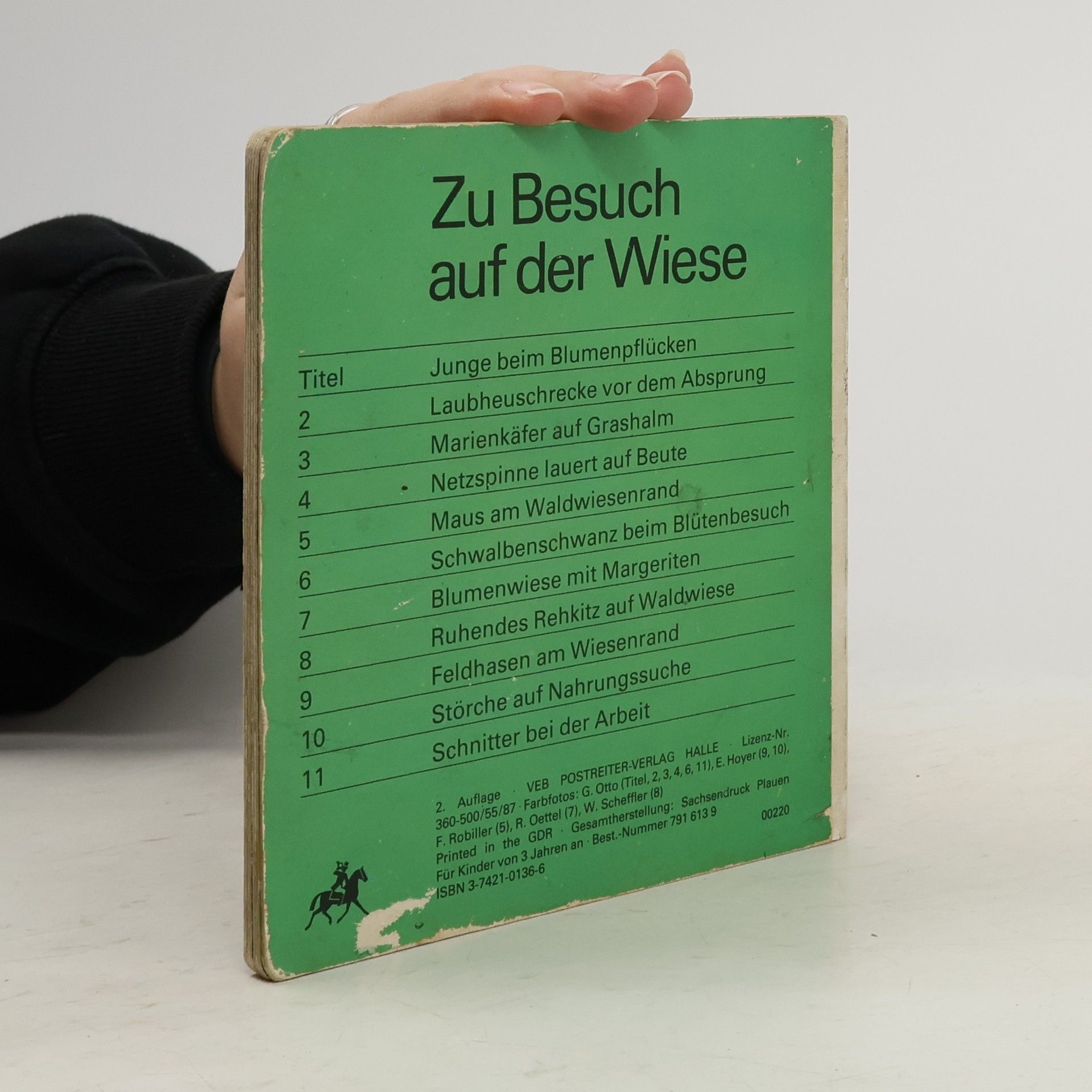 Zu Besuch auf der Wiese