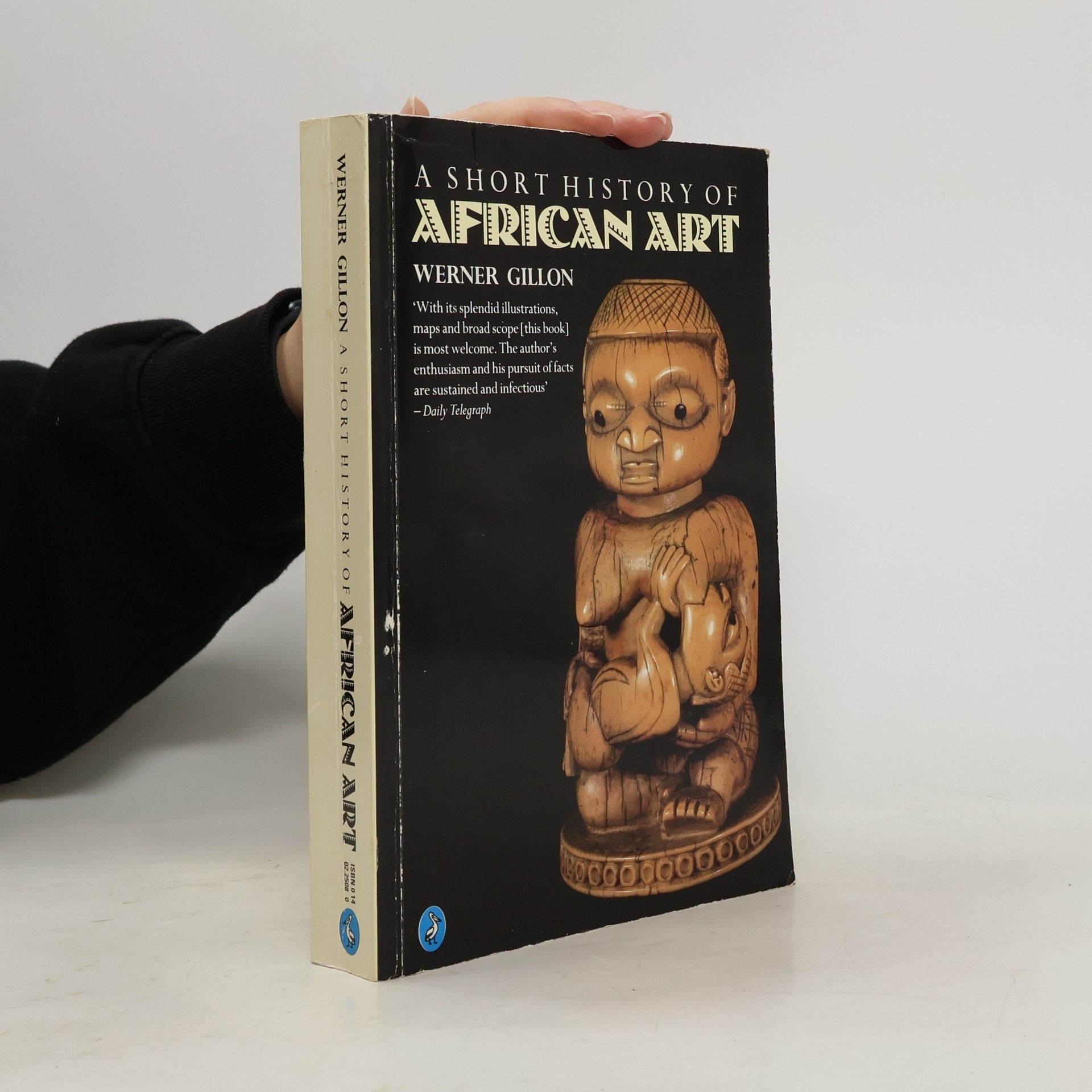 Werner Gillon A Short History of African Art