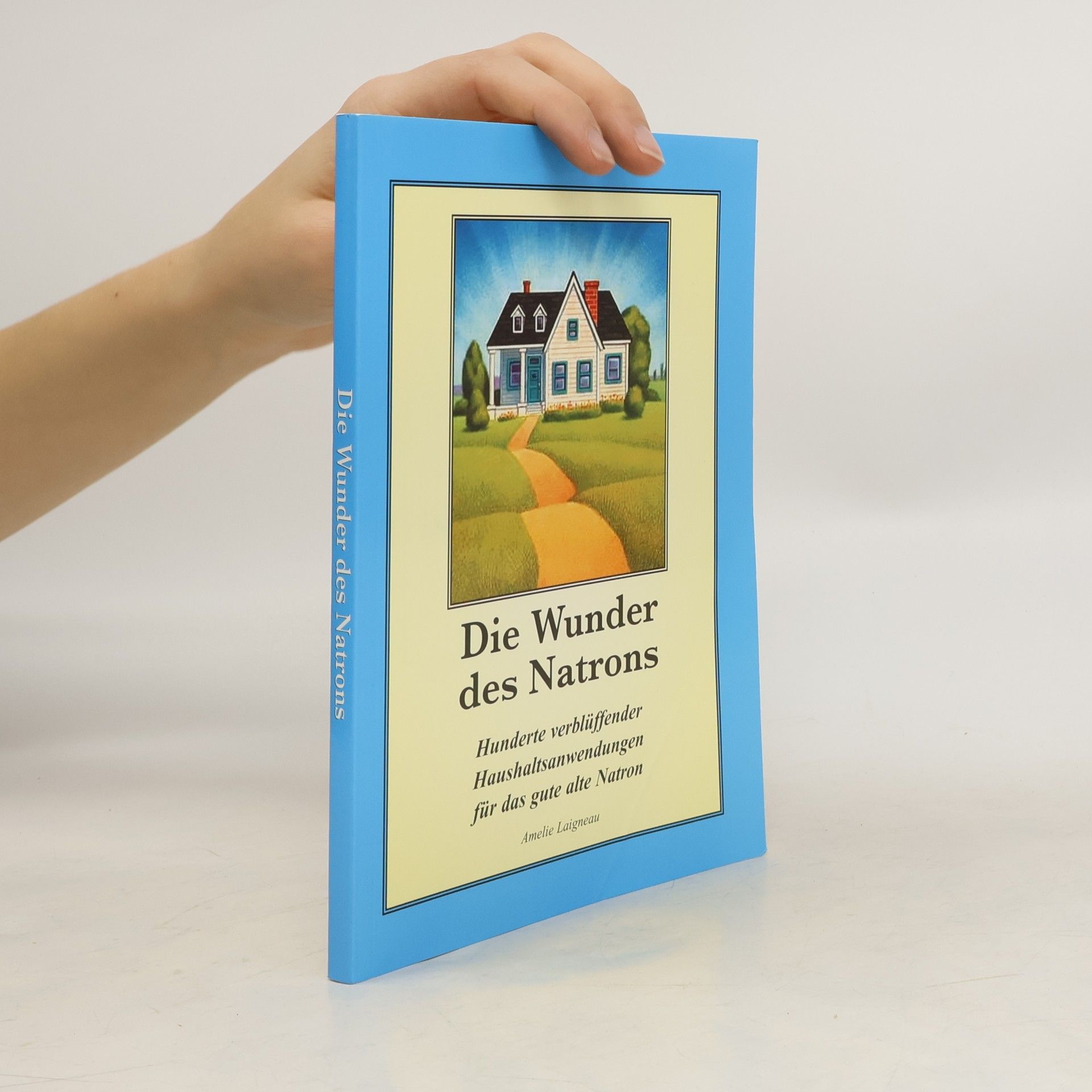 Amelie Laigneau Die Wunder des Natrons