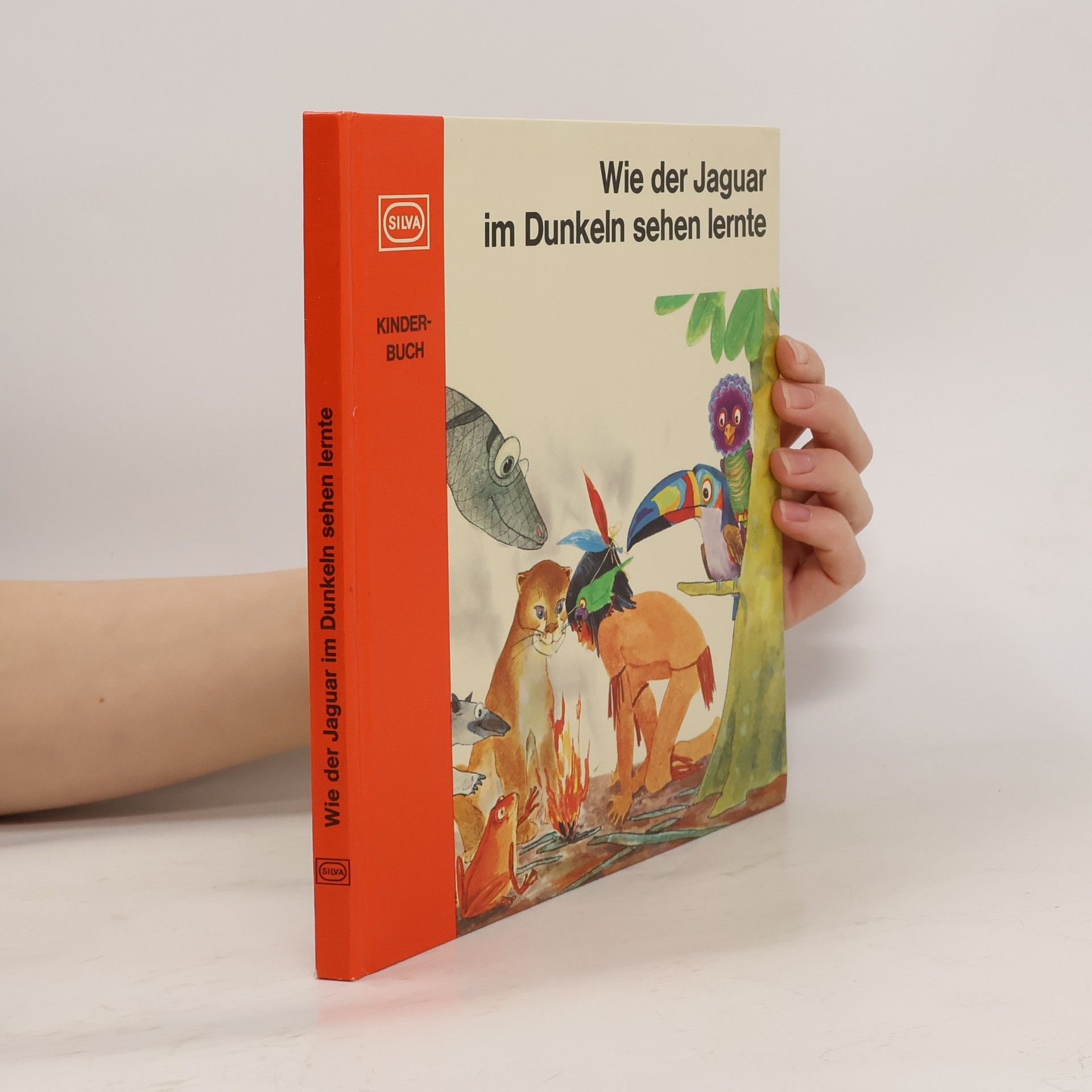 Collectif d'auteurs Wie der Jaguar im Dunkeln sehen lernte