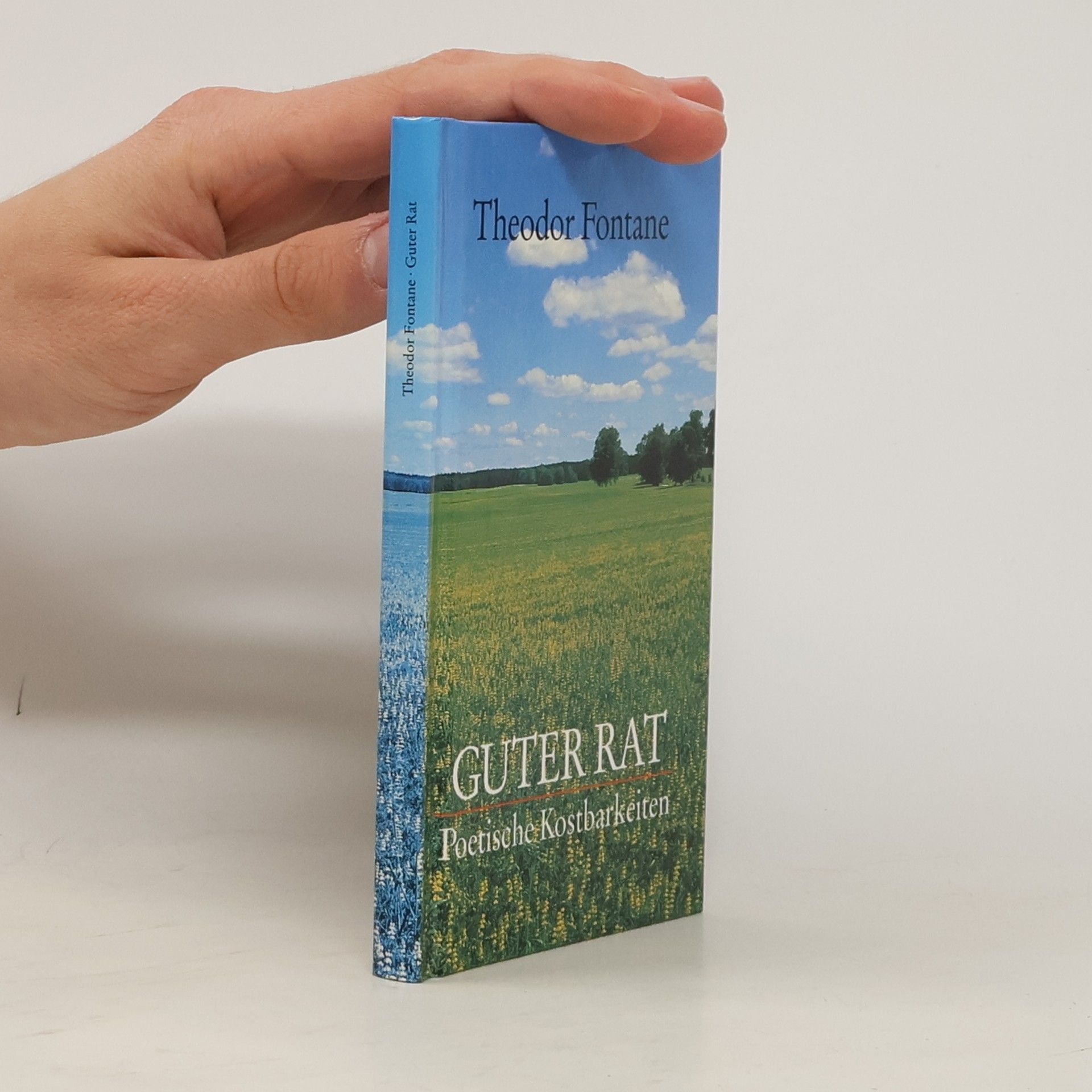 Theodor Fontane Guter rat