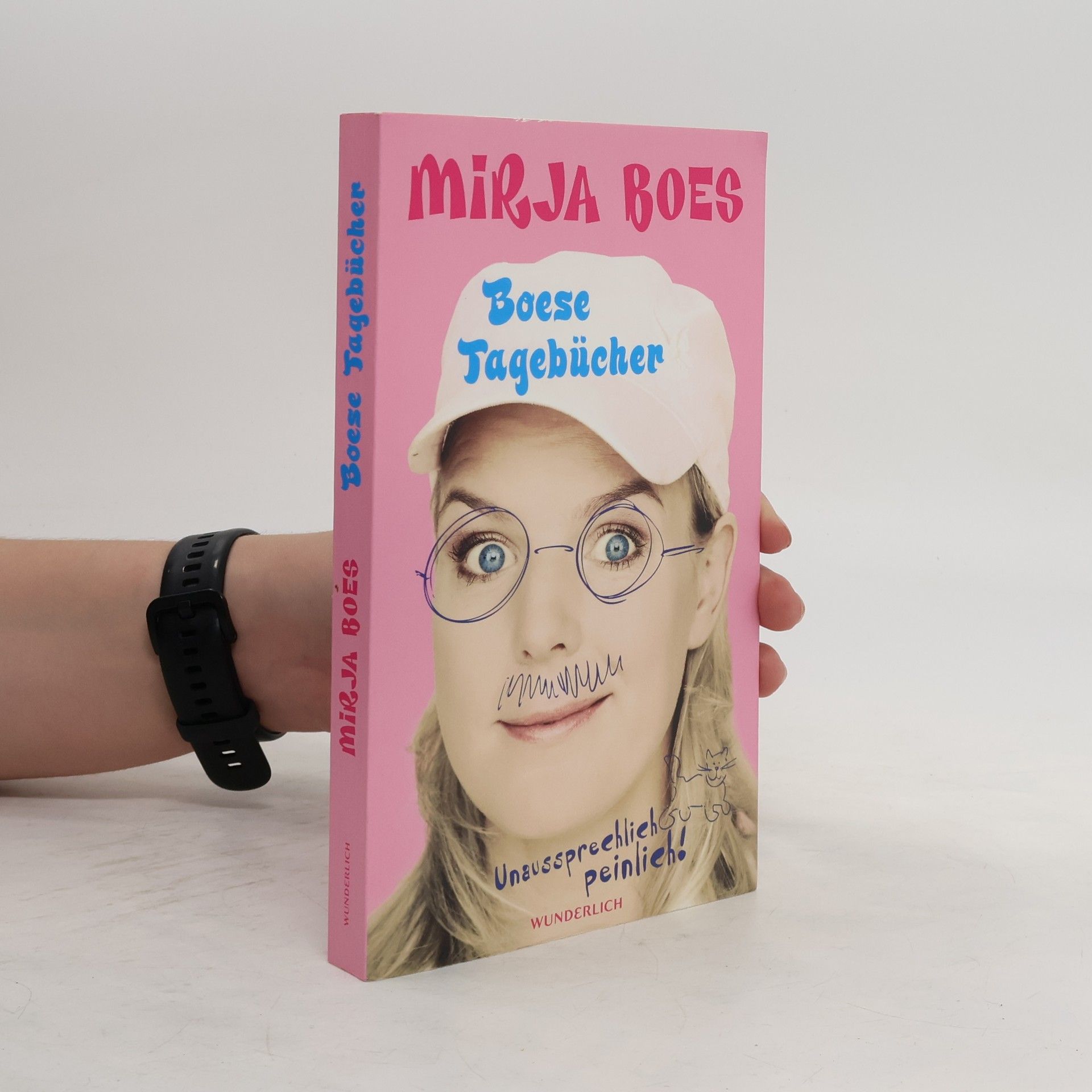 Mirja Boes Boese Tagebücher