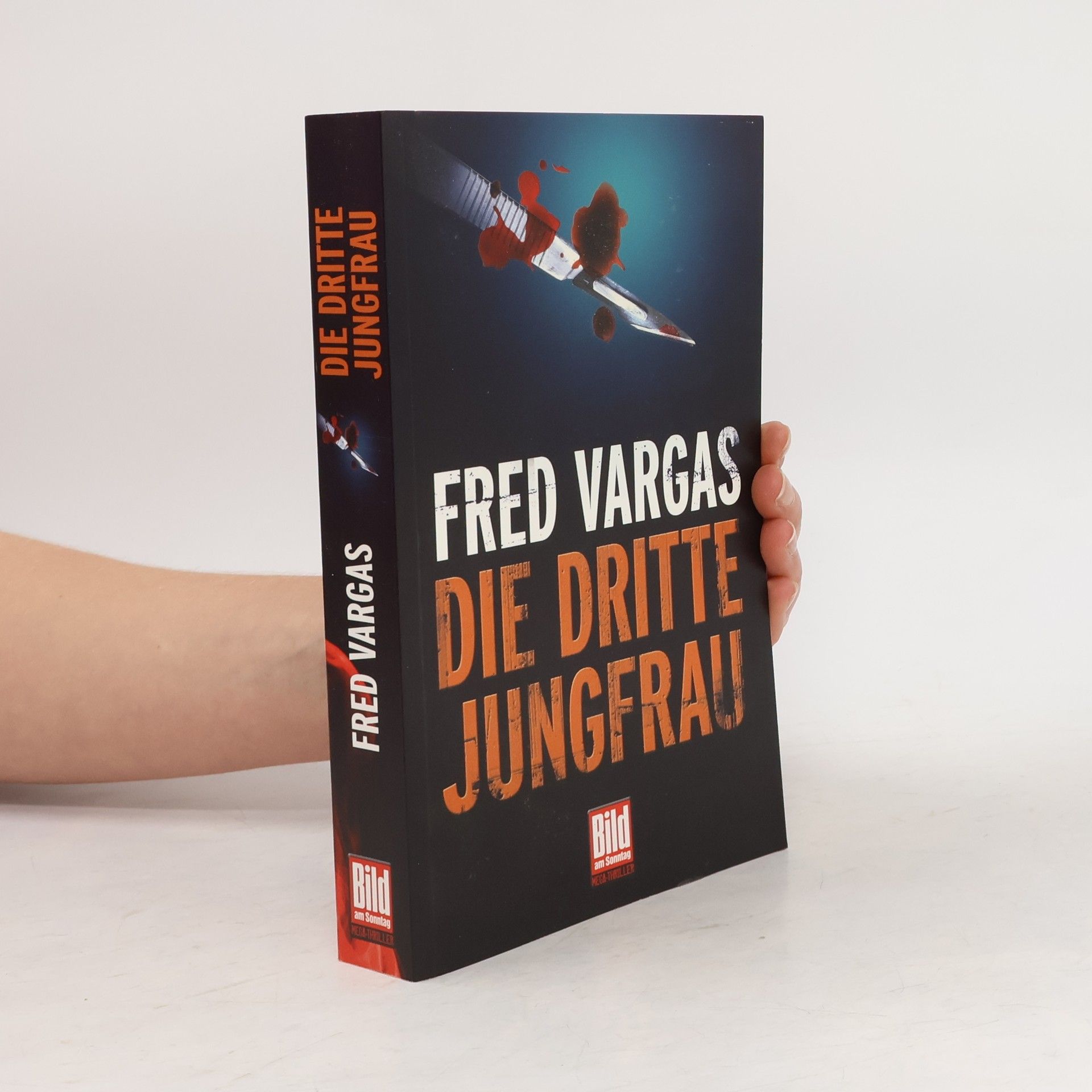 Fred Vargas Die dritte Jungfrau