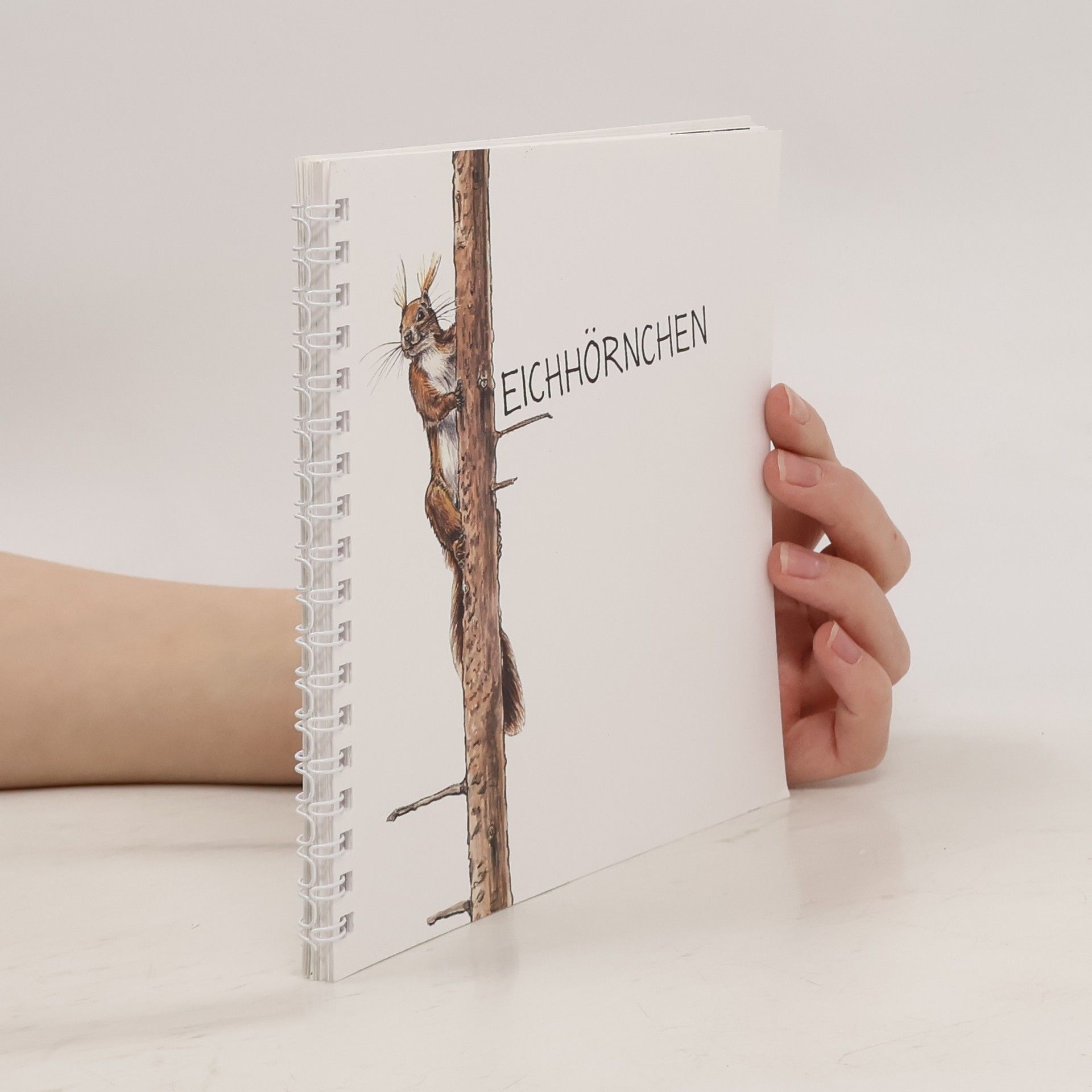 kolektiv Eichhörnchen