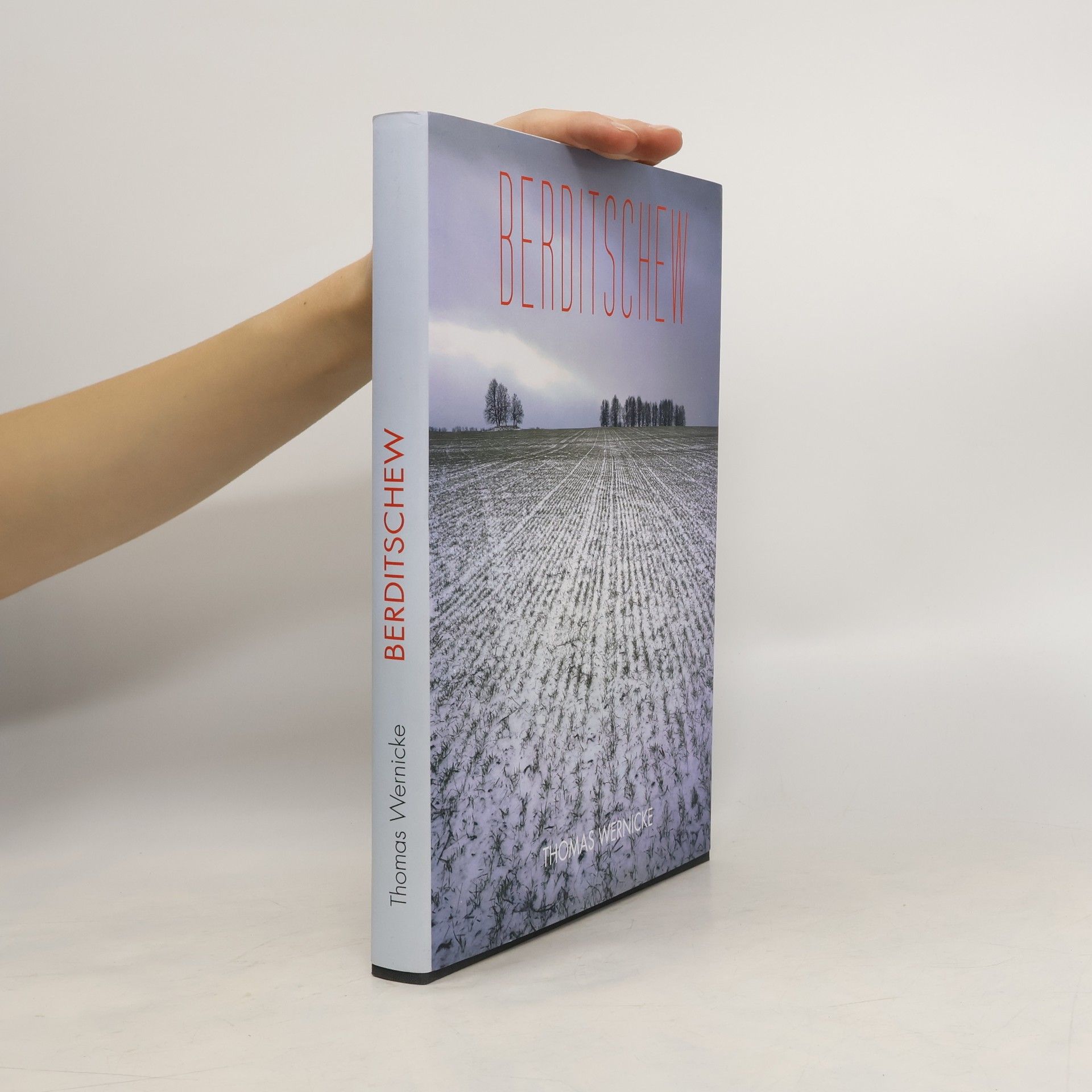 Die Mordfelder von Berditschew