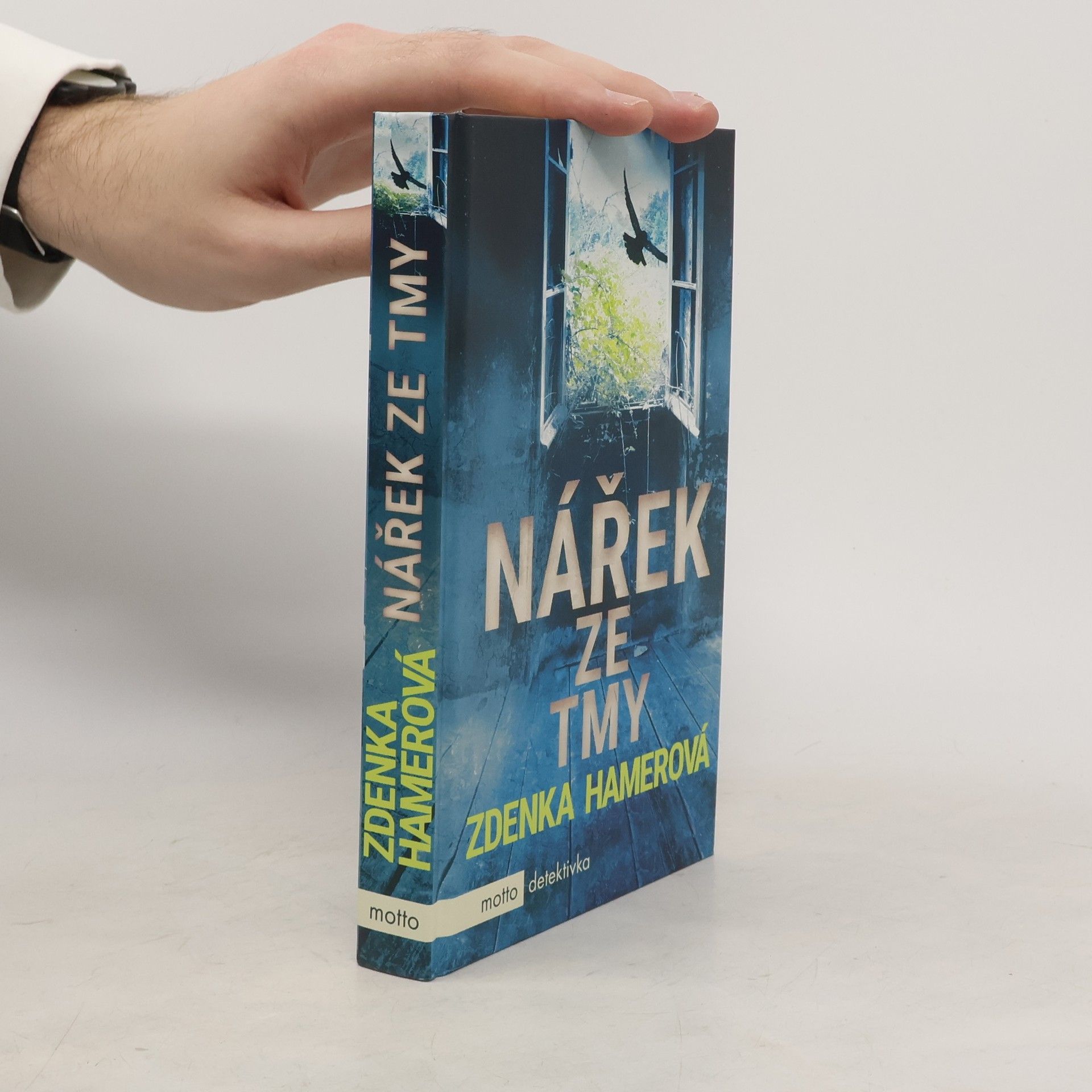 Zdenka Hamerová Nářek ze tmy