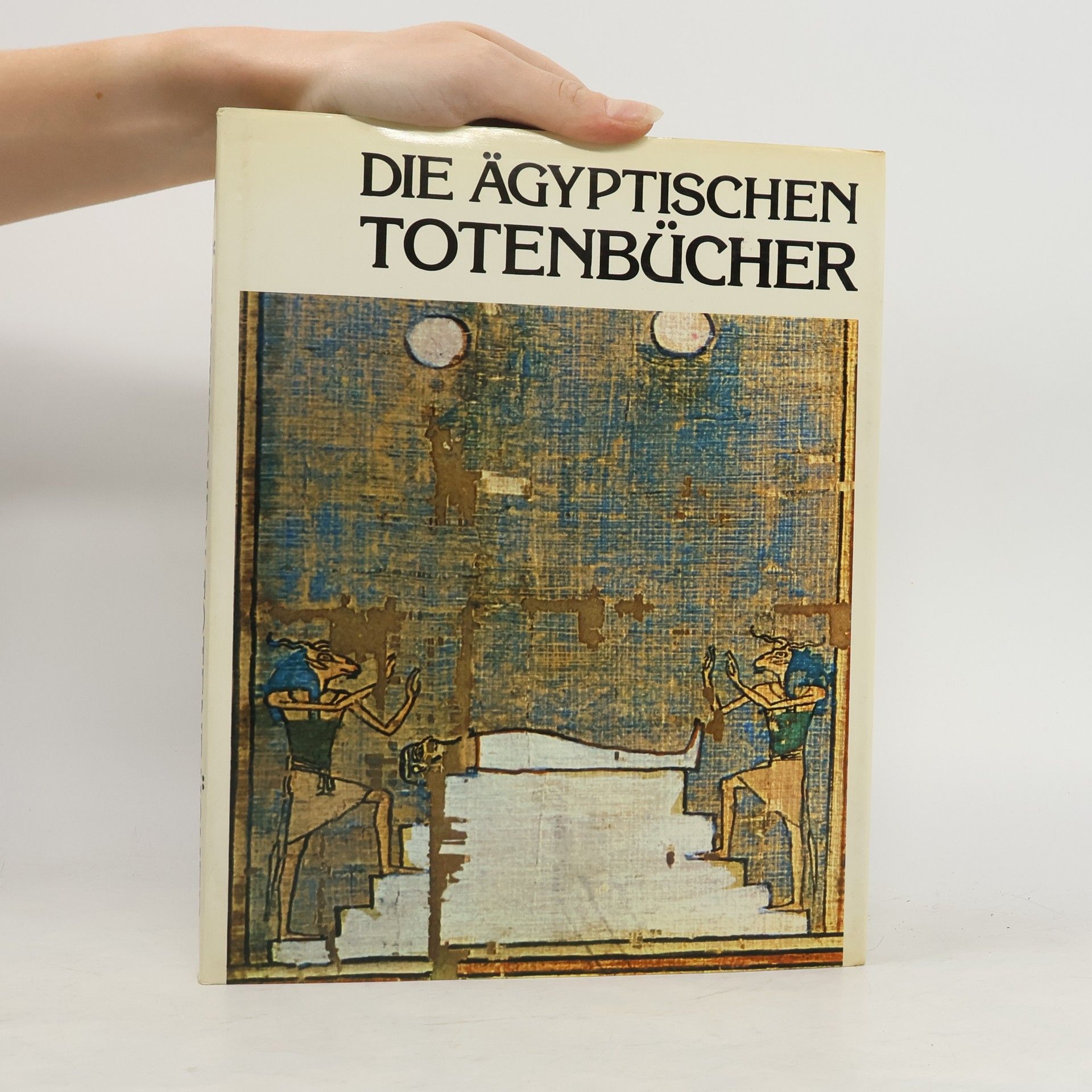 Auteurscollectief Die Ägyptischen Totenbücher