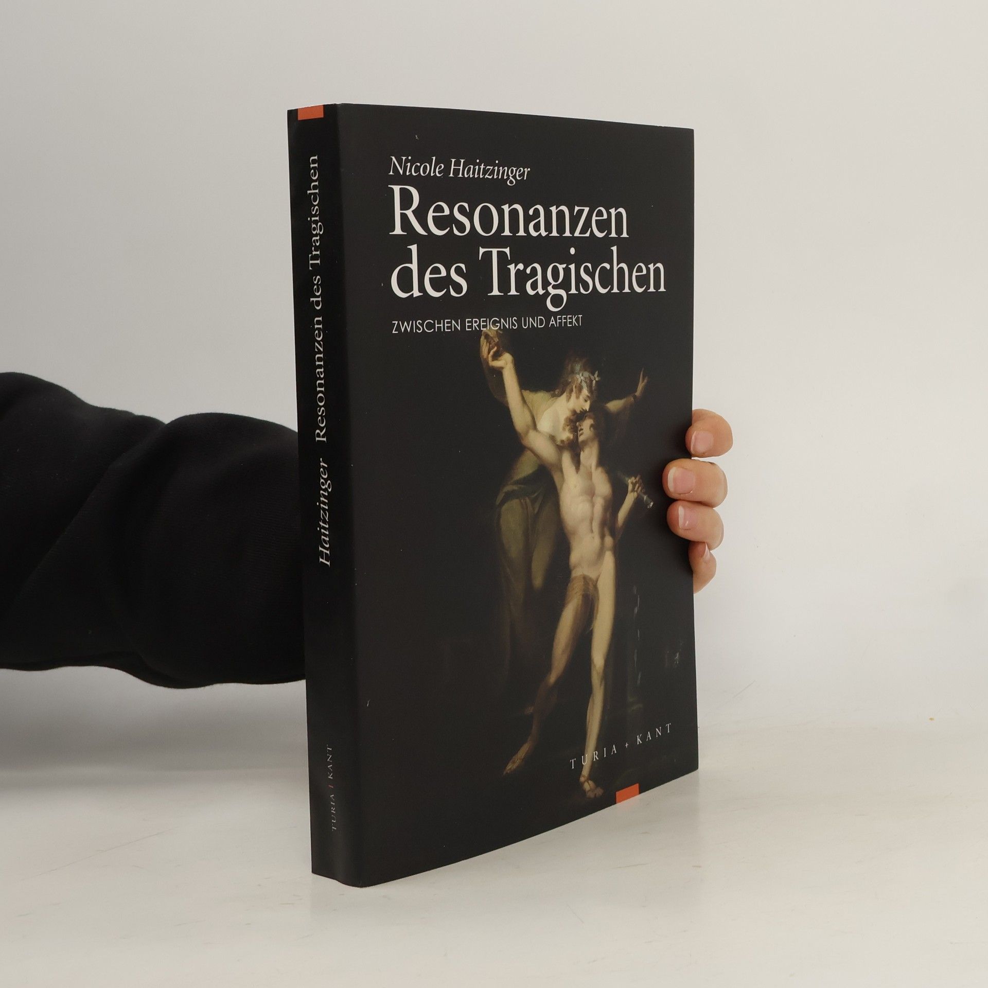 Nicole Haitzinger Resonanzen des Tragischen