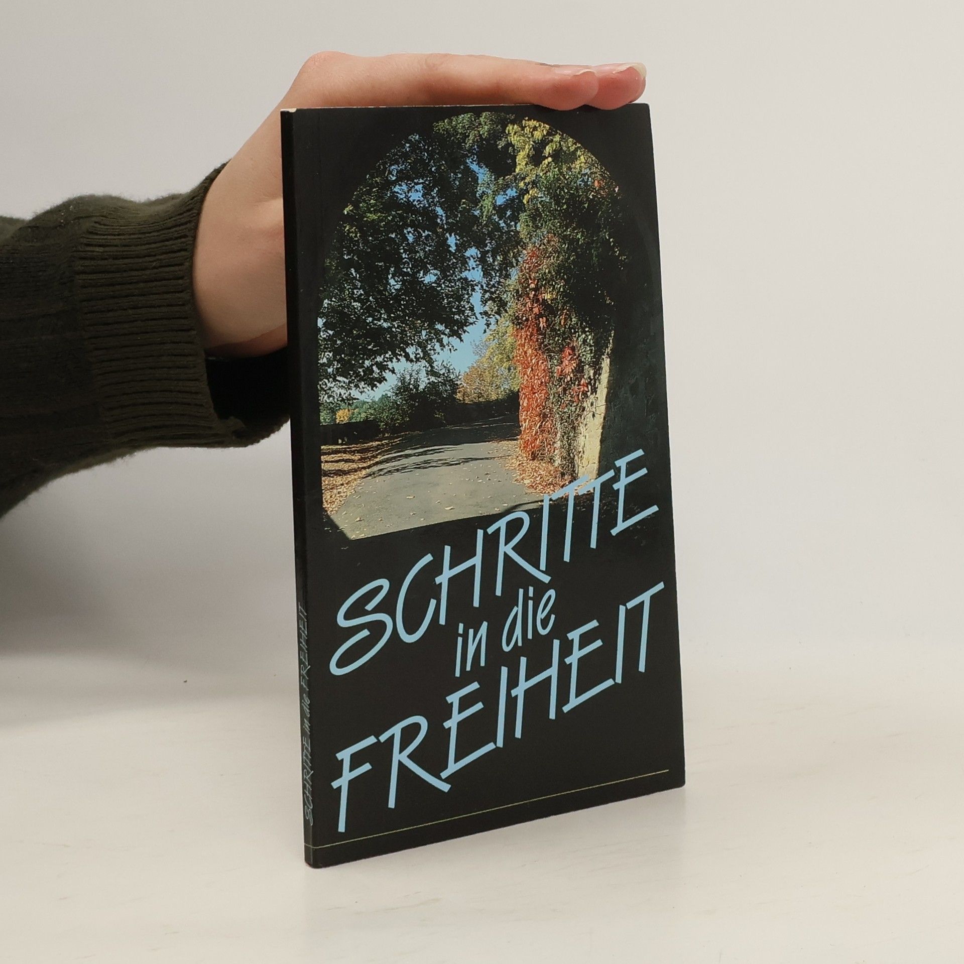 Auteurscollectief Schritte in die freiheit