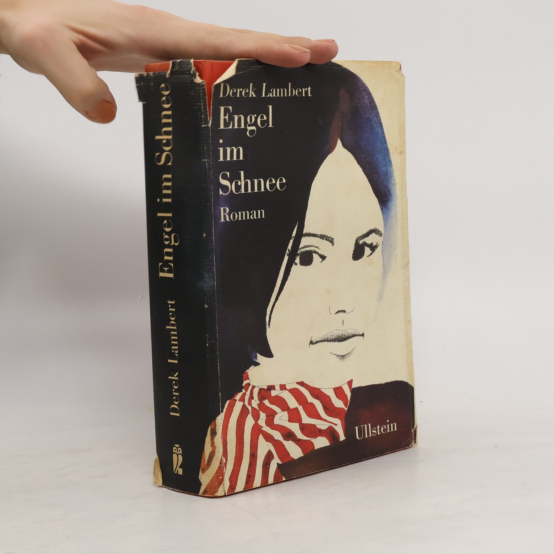 Derek Lambert Engel im Schnee