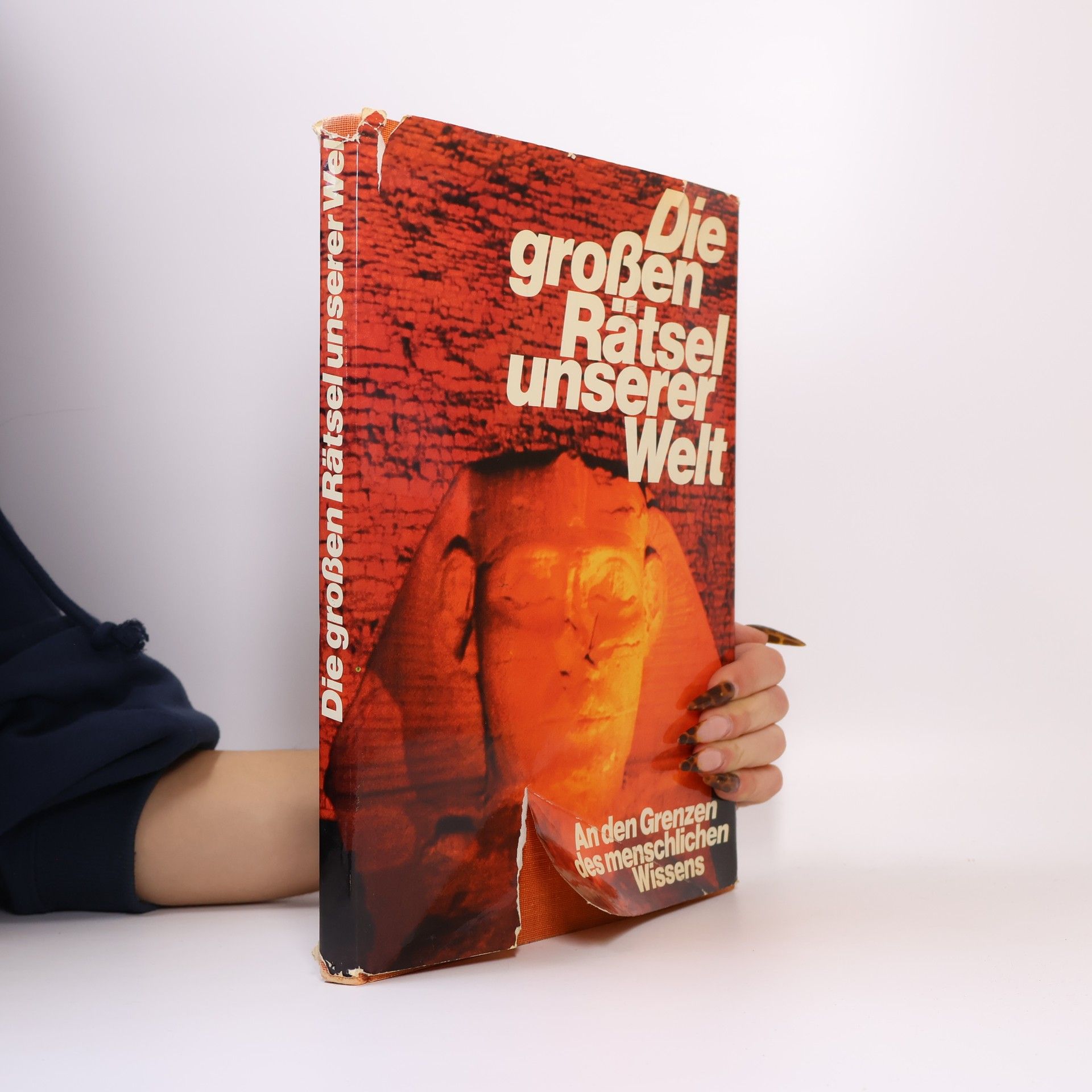 Roland Gööck Die großen Rätsel unserer Welt