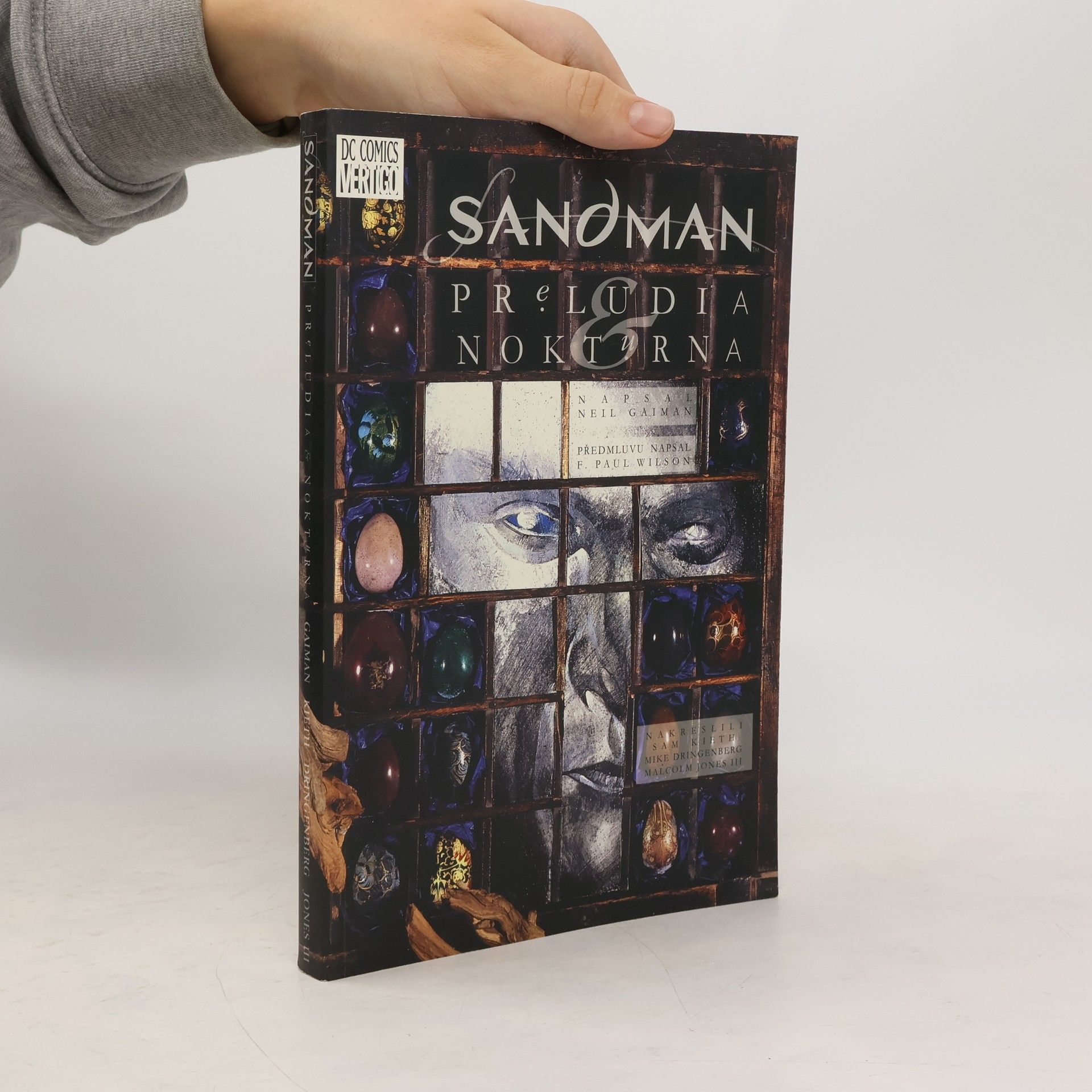 Neil Gaiman Sandman: Preludia a nokturna