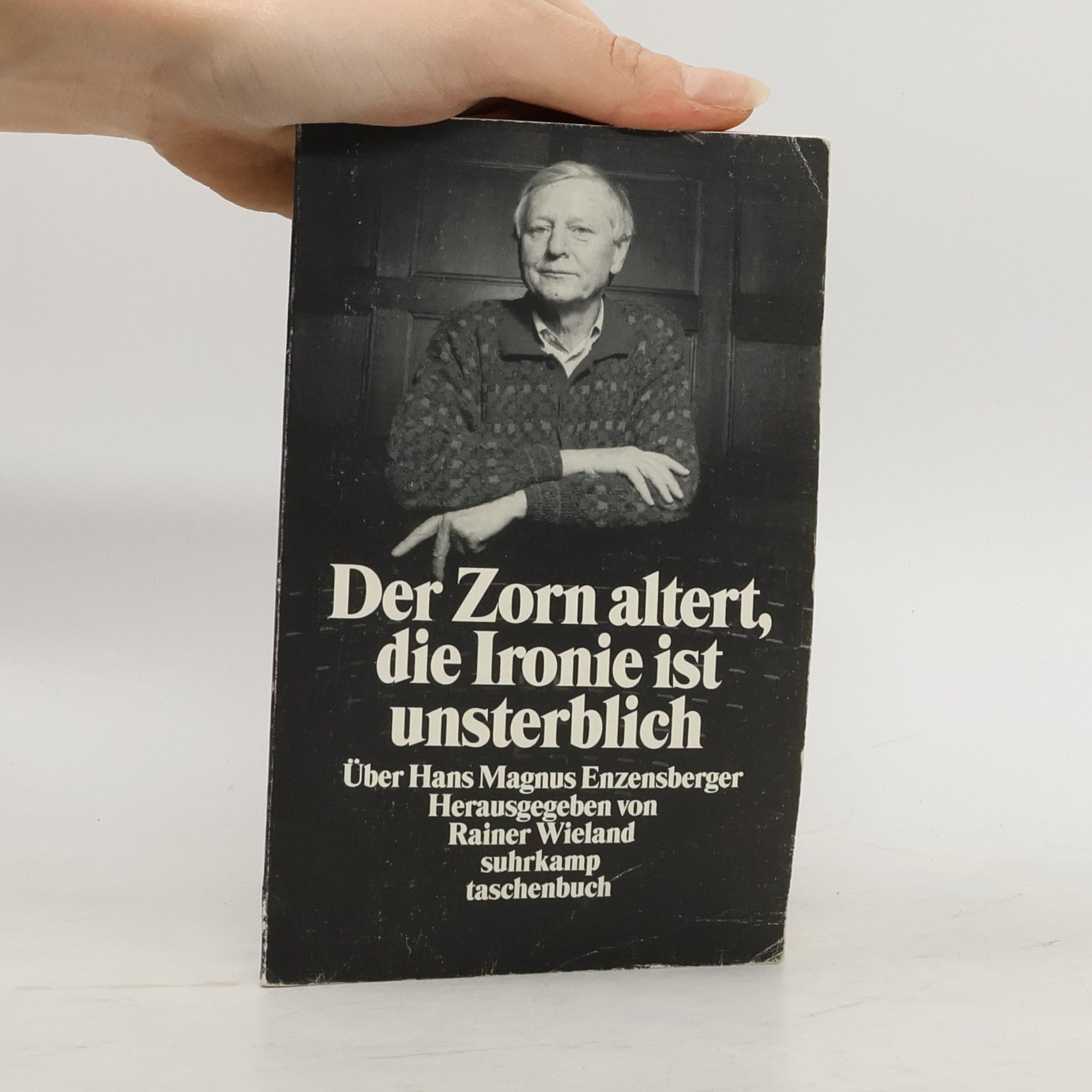 Rainer Wieland Der Zorn altert, die Ironie ist unsterblich