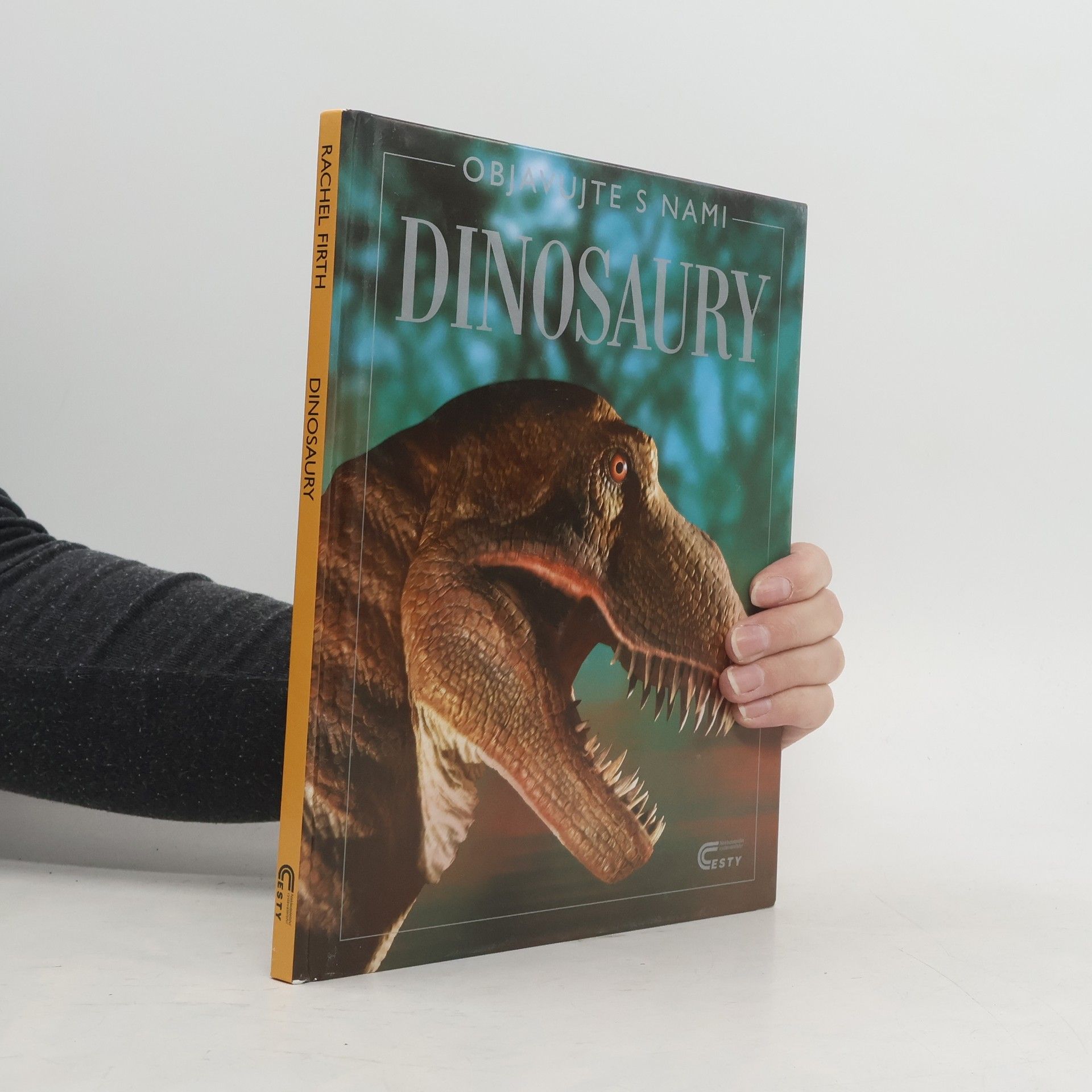 Rachel Firth Dinosaury