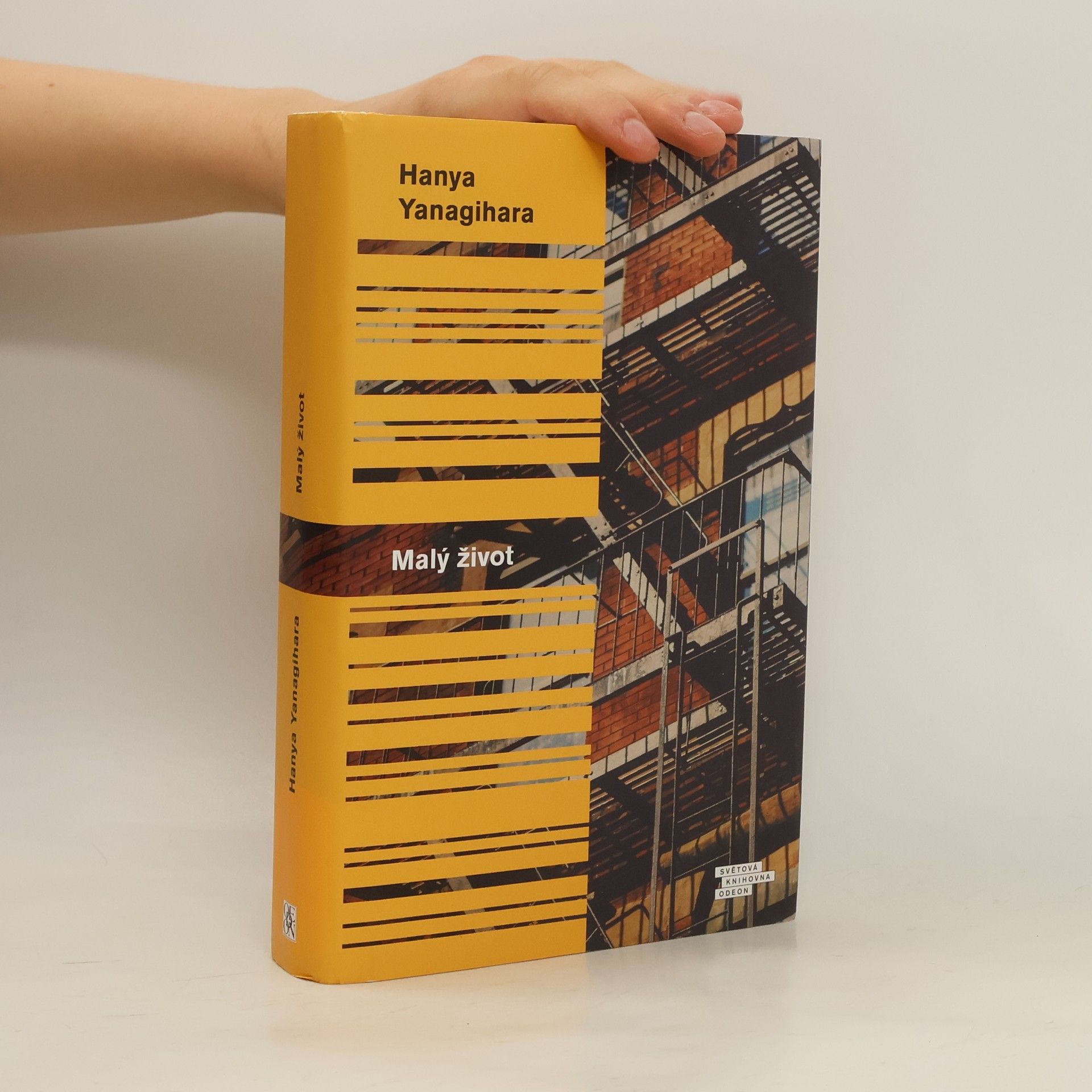 Hanya Yanagihara Malý život