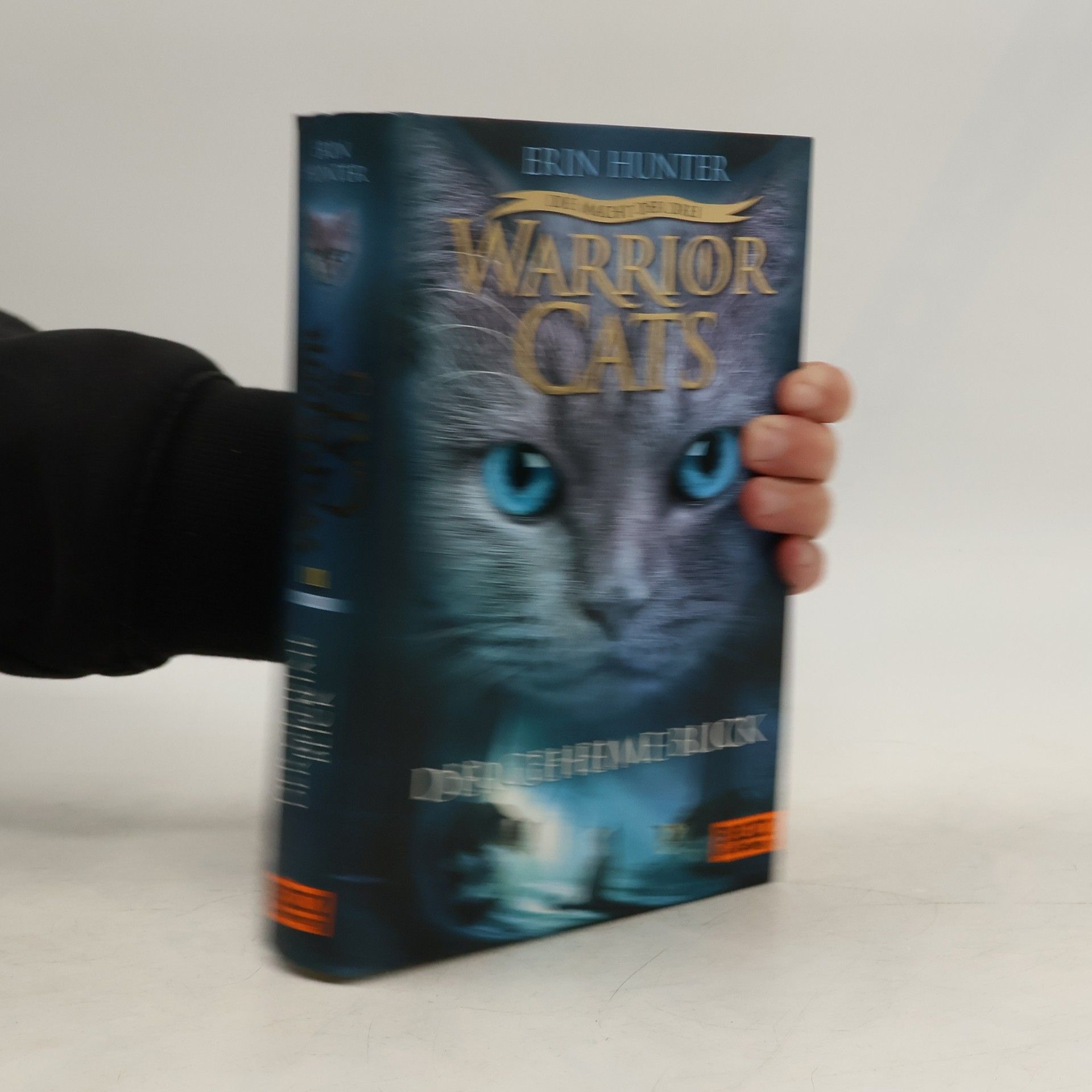 Erin Hunter Warrior Cats: Der geheime Blick