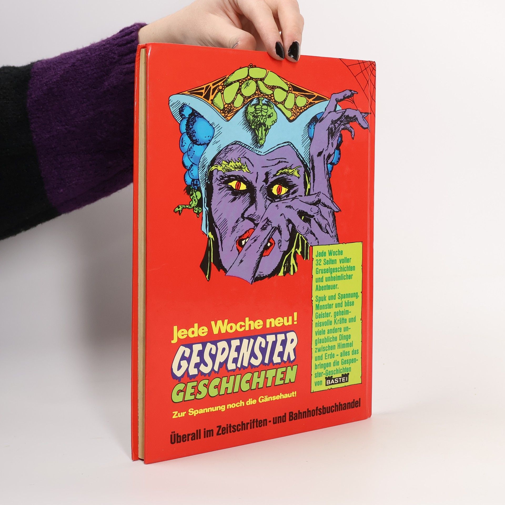kolektiv Das große Gespenster Buch
