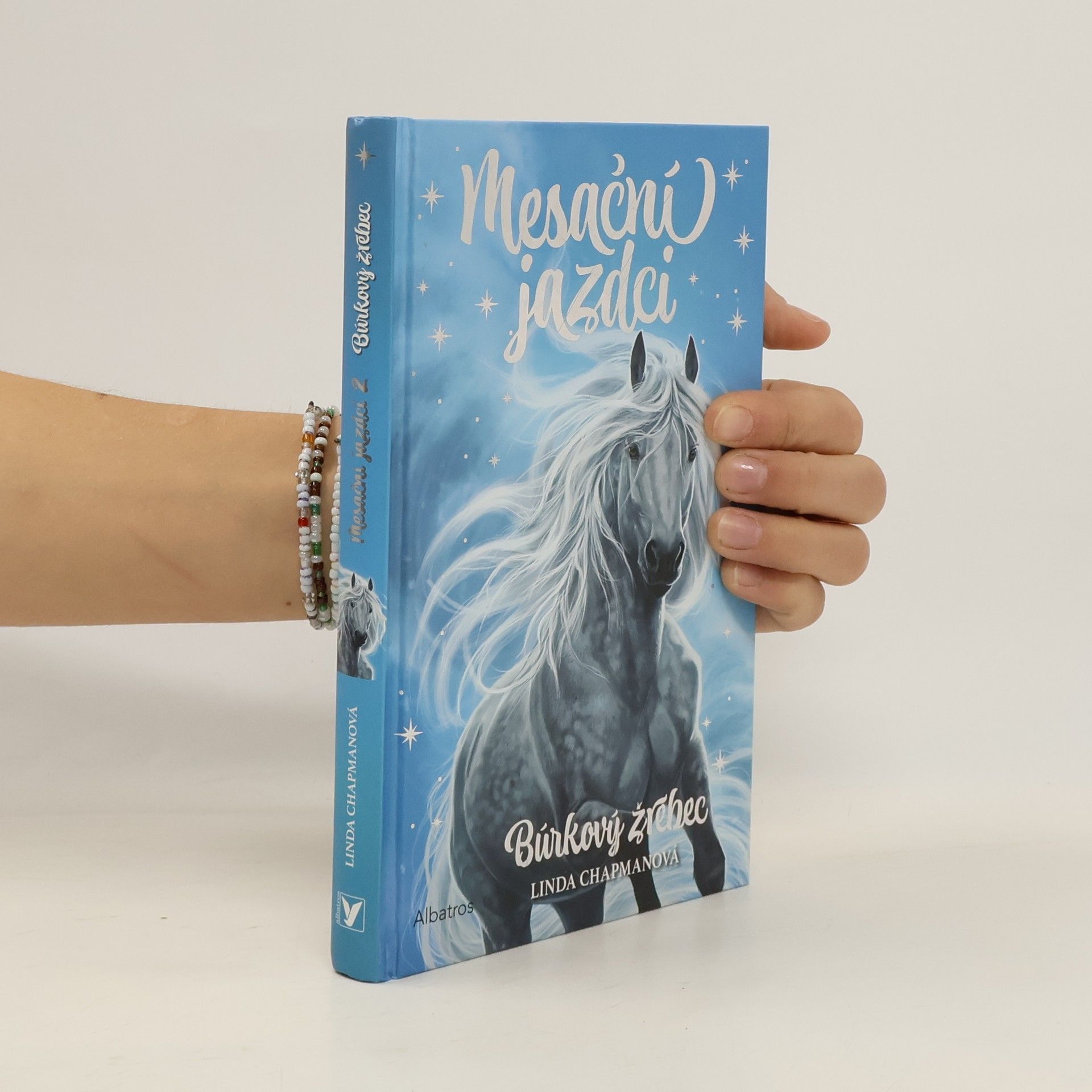 Linda Chapman Mesační jazdci 2: Búrkový žrebec