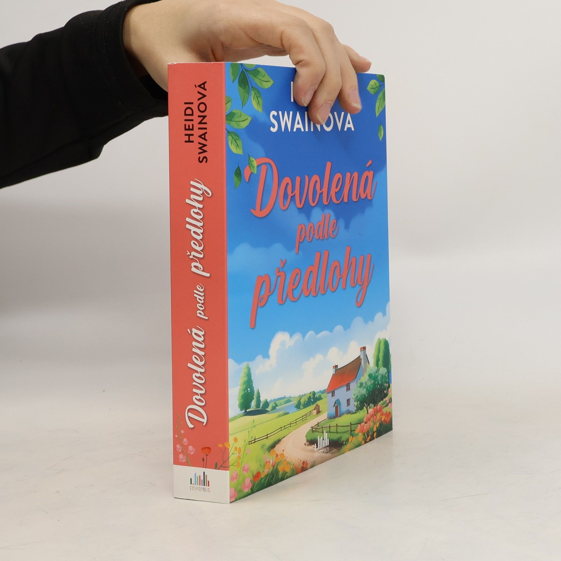 Heidi Swain Dovolená podle předlohy