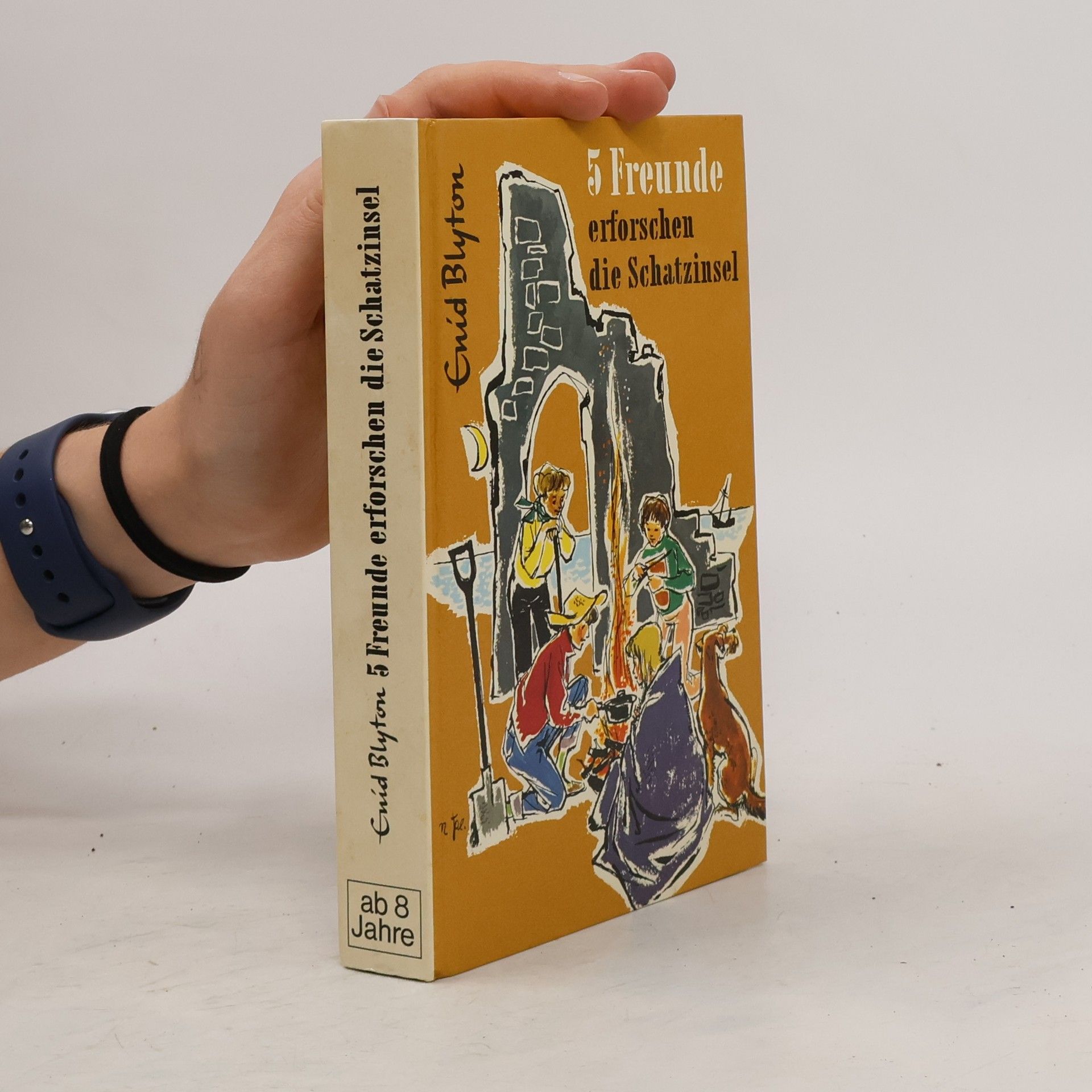 Enid Blyton 5 Freunde erforschen die Schatzinsel