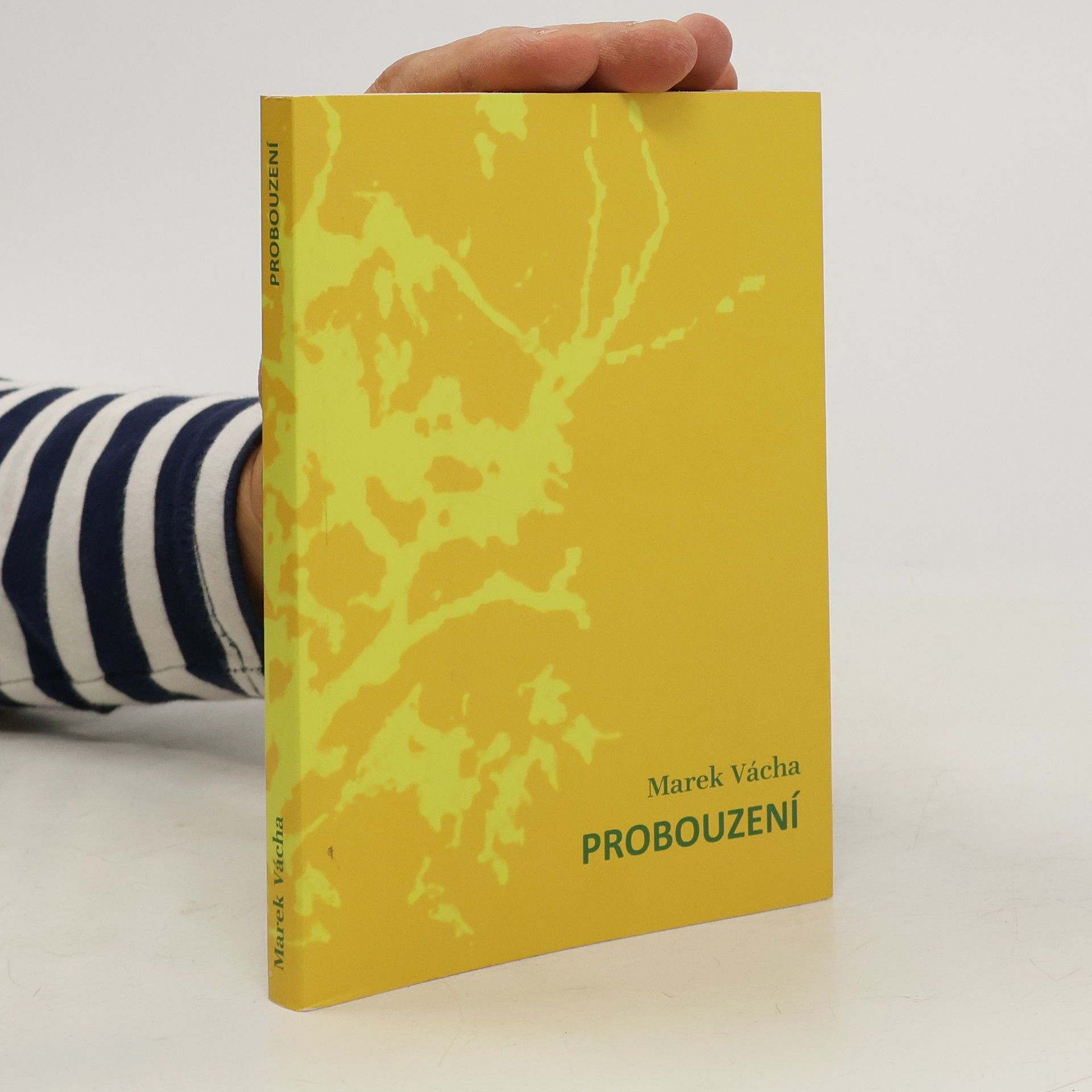 Marek Orko Vácha Probouzení