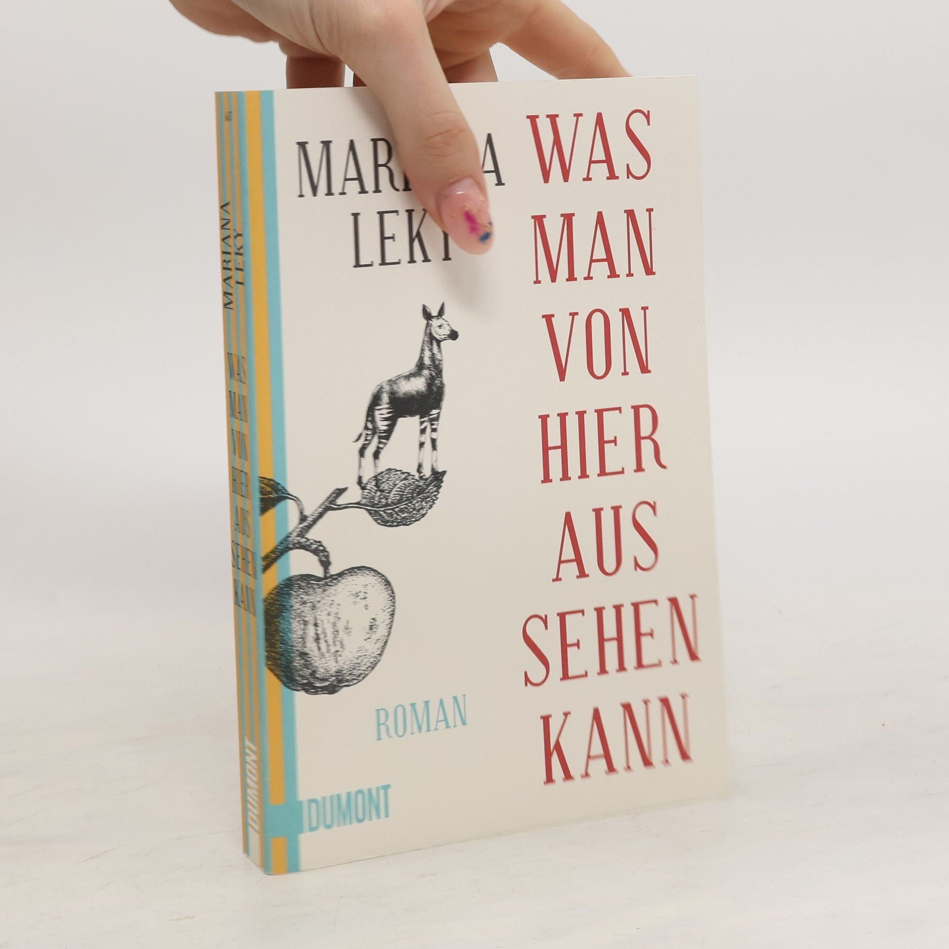 Mariana Leky Was man von hier aus sehen kann