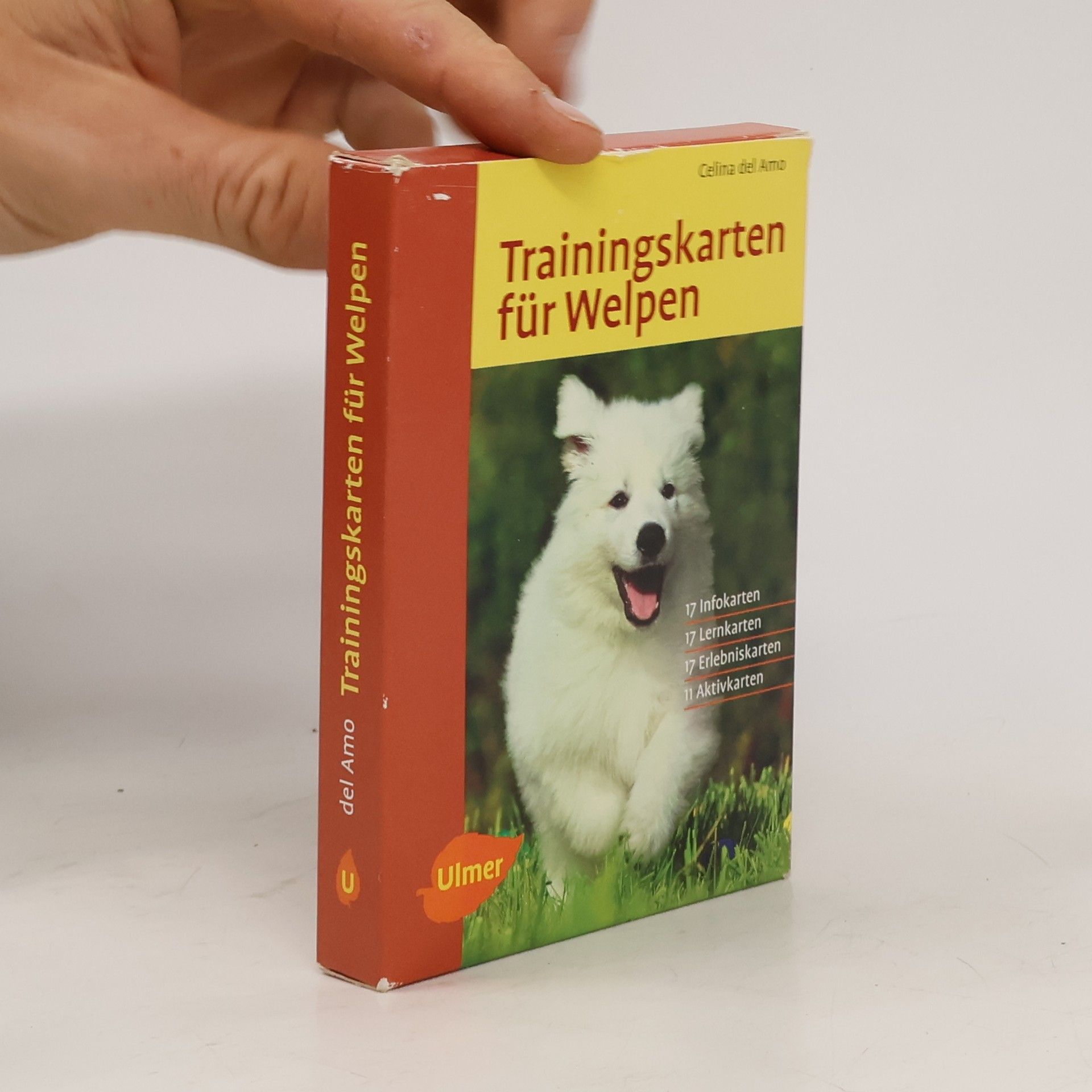 Celina Del Amo Trainingskarten für Welpen