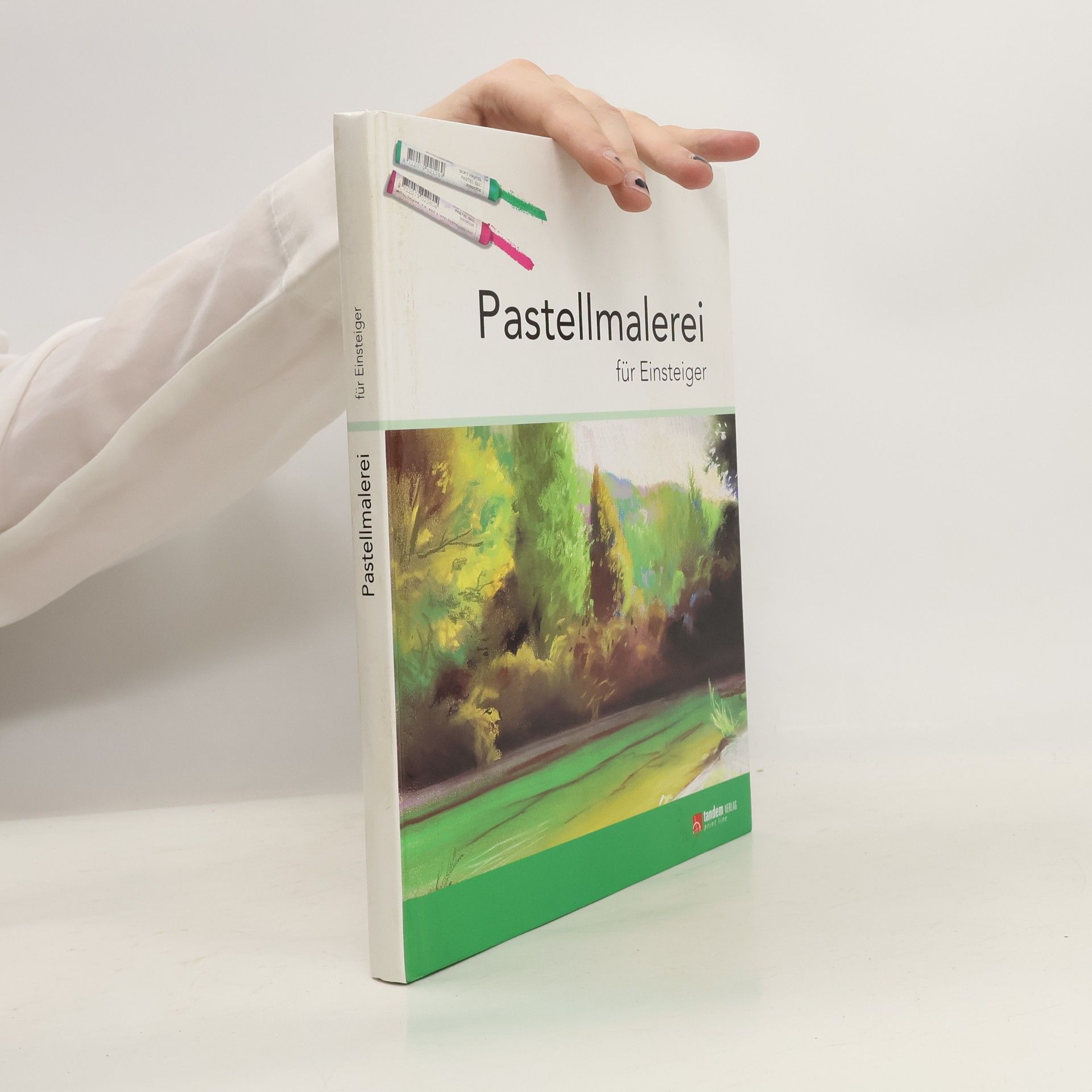 Autorenkollektiv Pastellmalerei für Einsteiger