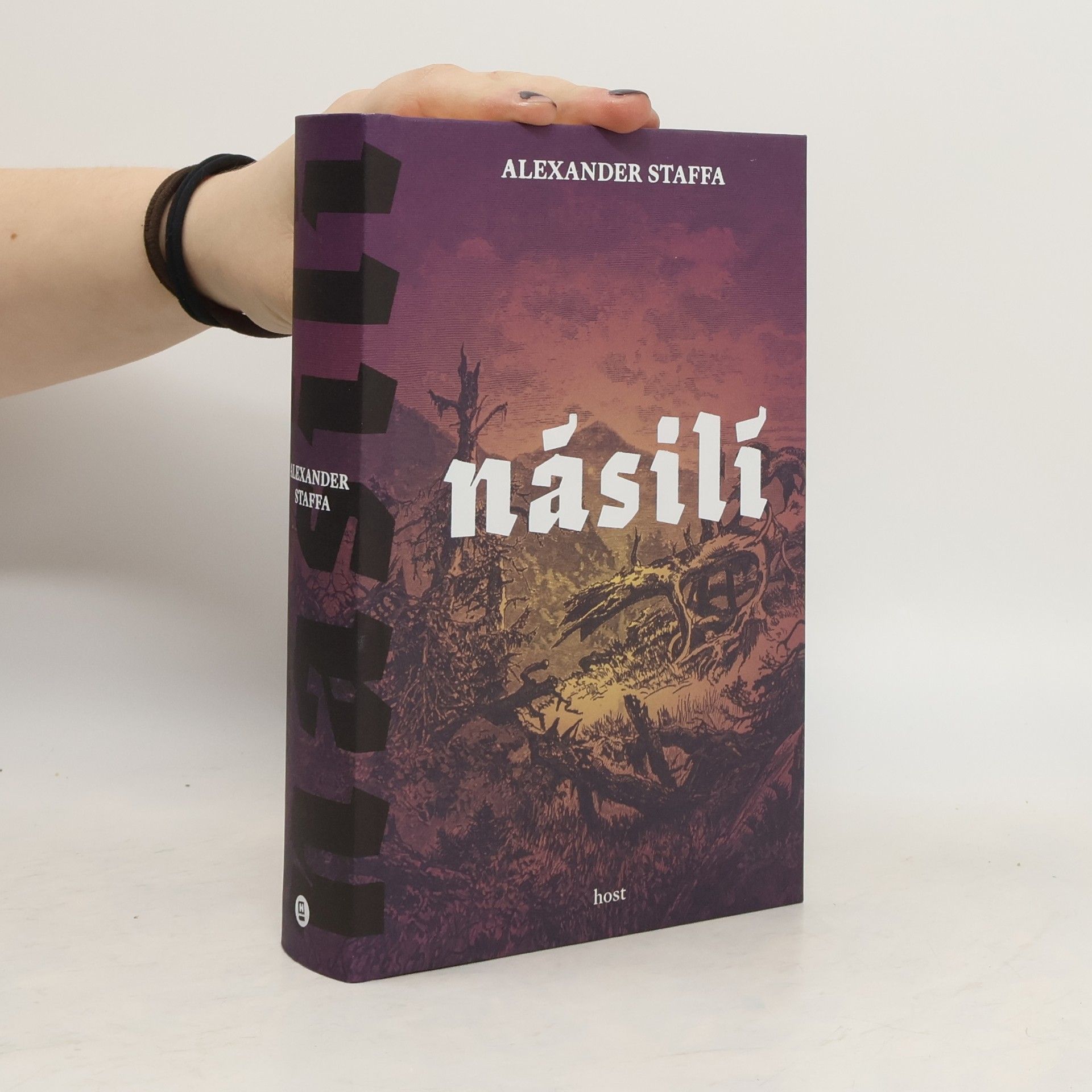 Alexander Staffa Násilí