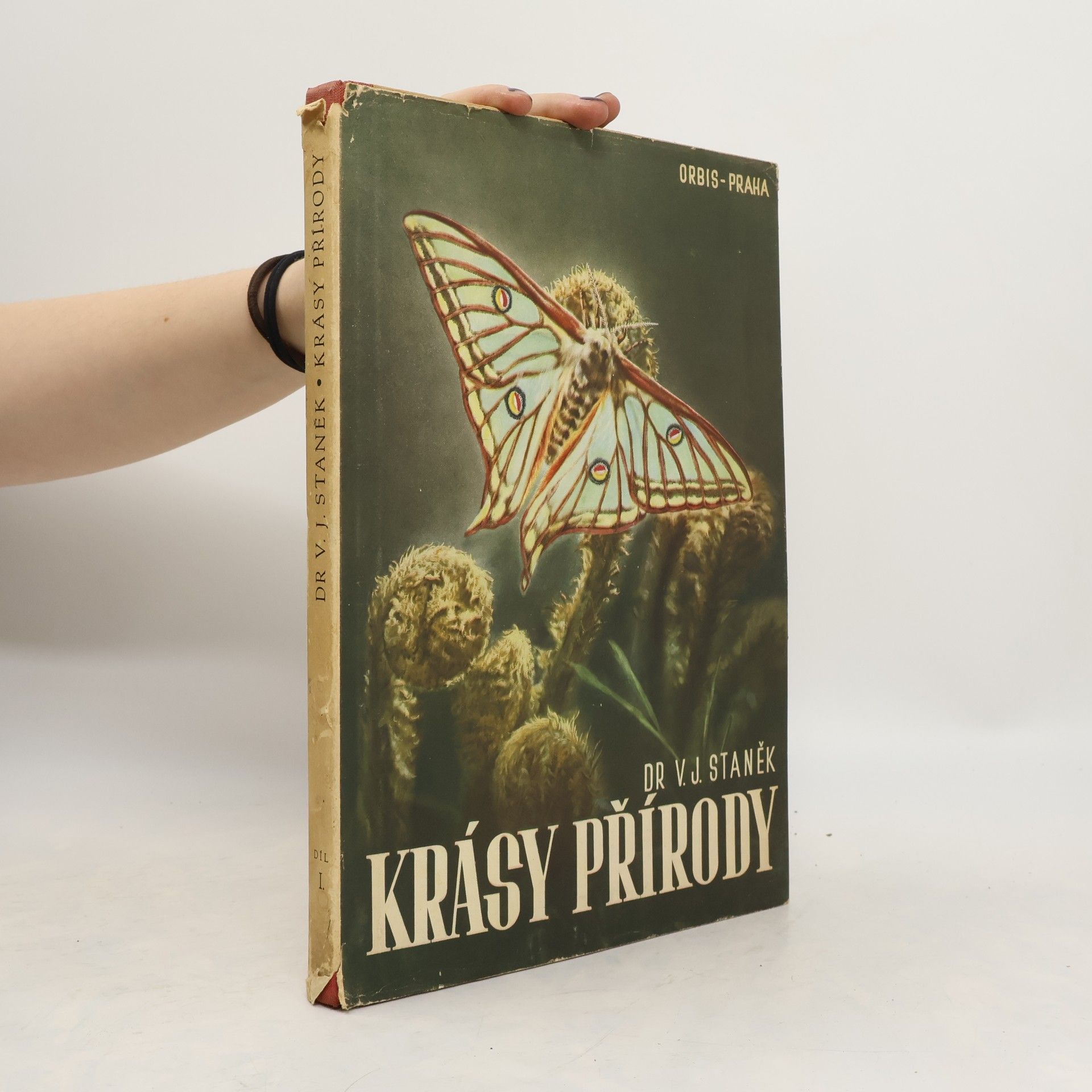 Václav Jan Staněk Krásy přírody I. S kamerou za krásami matky Země