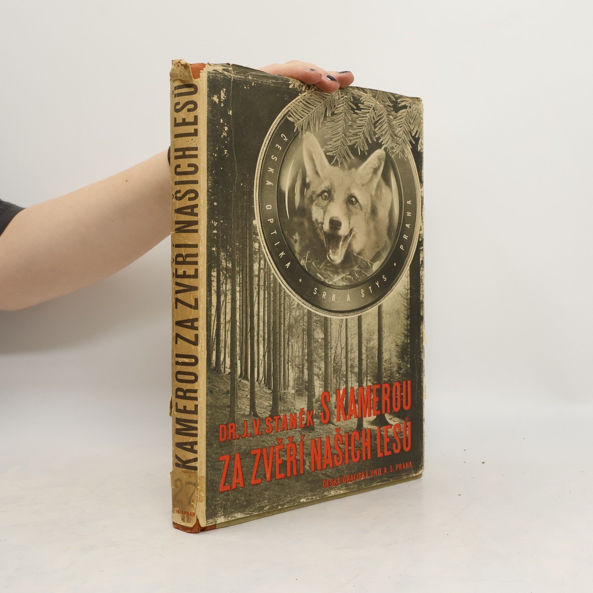 S kamerou za zvěří našich lesů