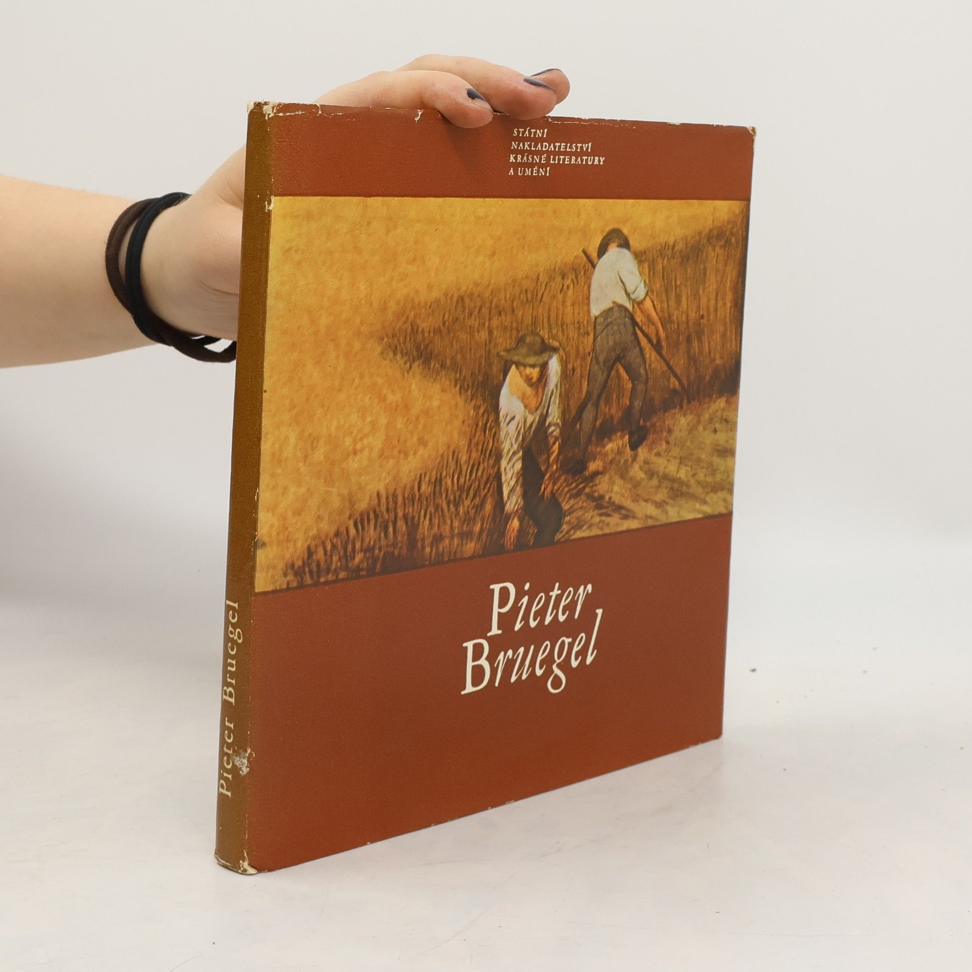 Jaromír Neumann Pieter Bruegel