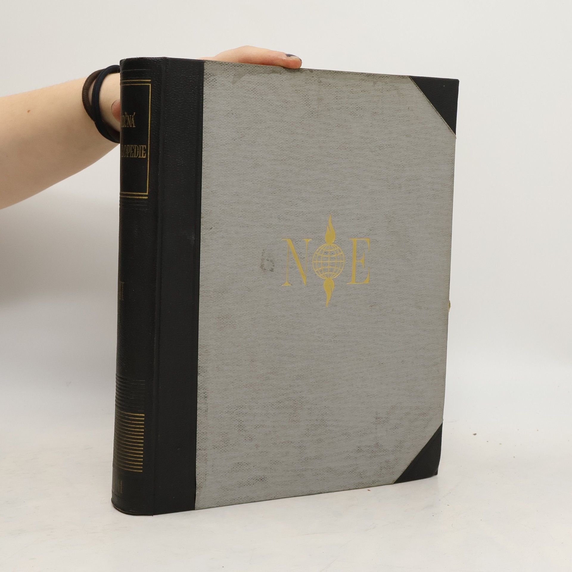 Kolektiv autorů Naučná encyklopedie II. Svazek I.