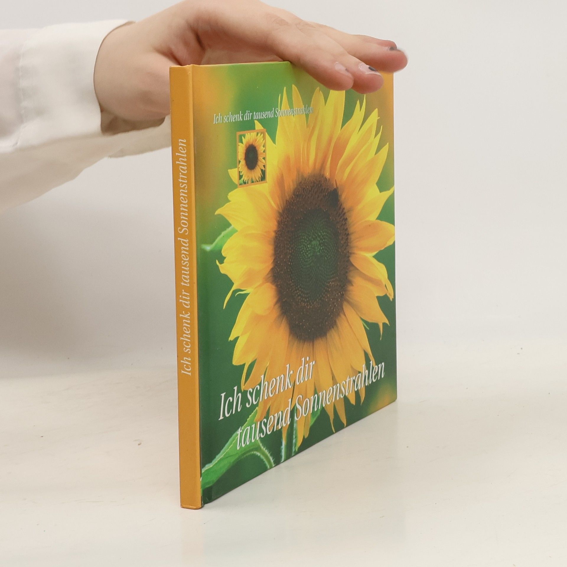kolektiv Ich schenk dir tausend Sonnenstrahlen