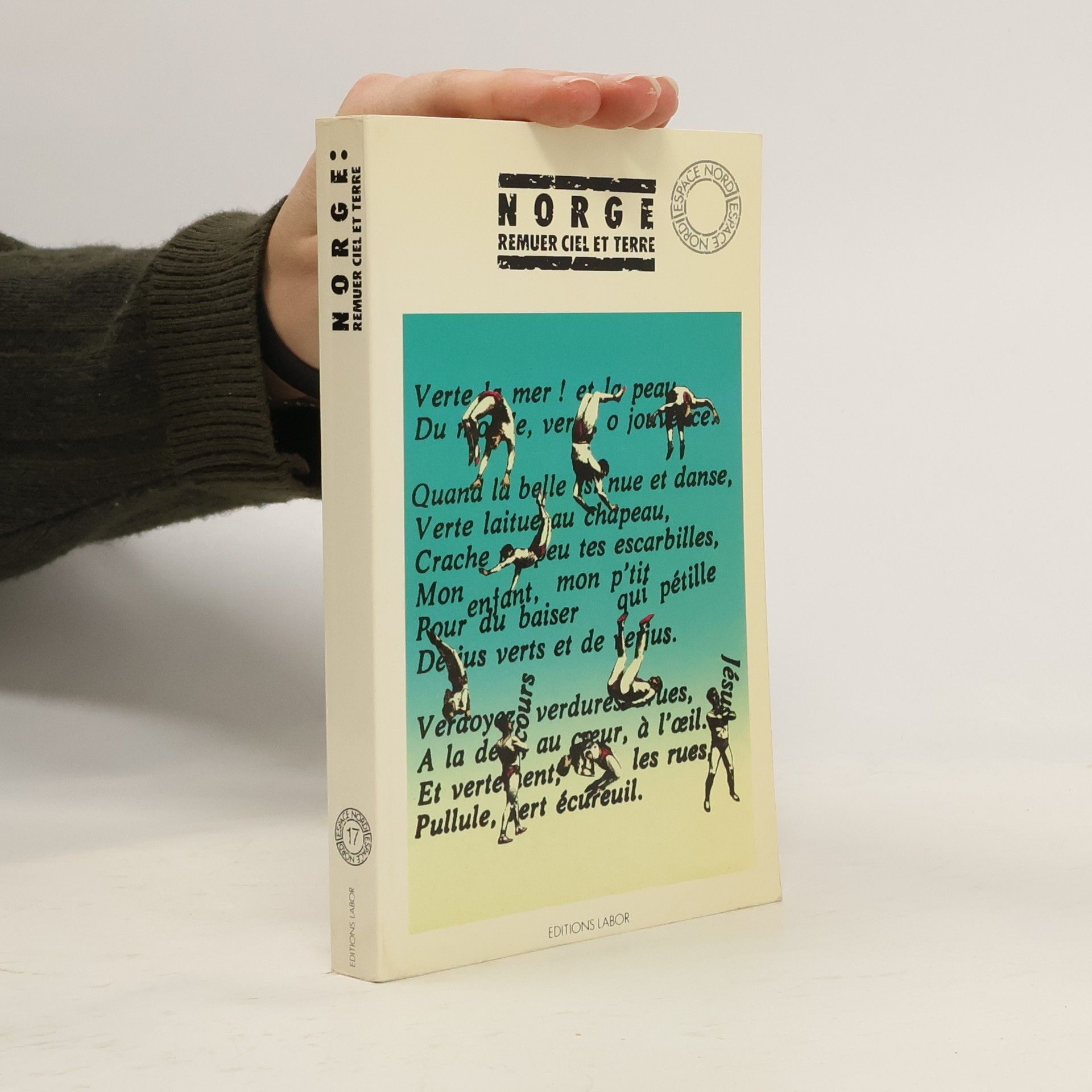 Norge Espace Nord - 17: Remuer ciel et terre