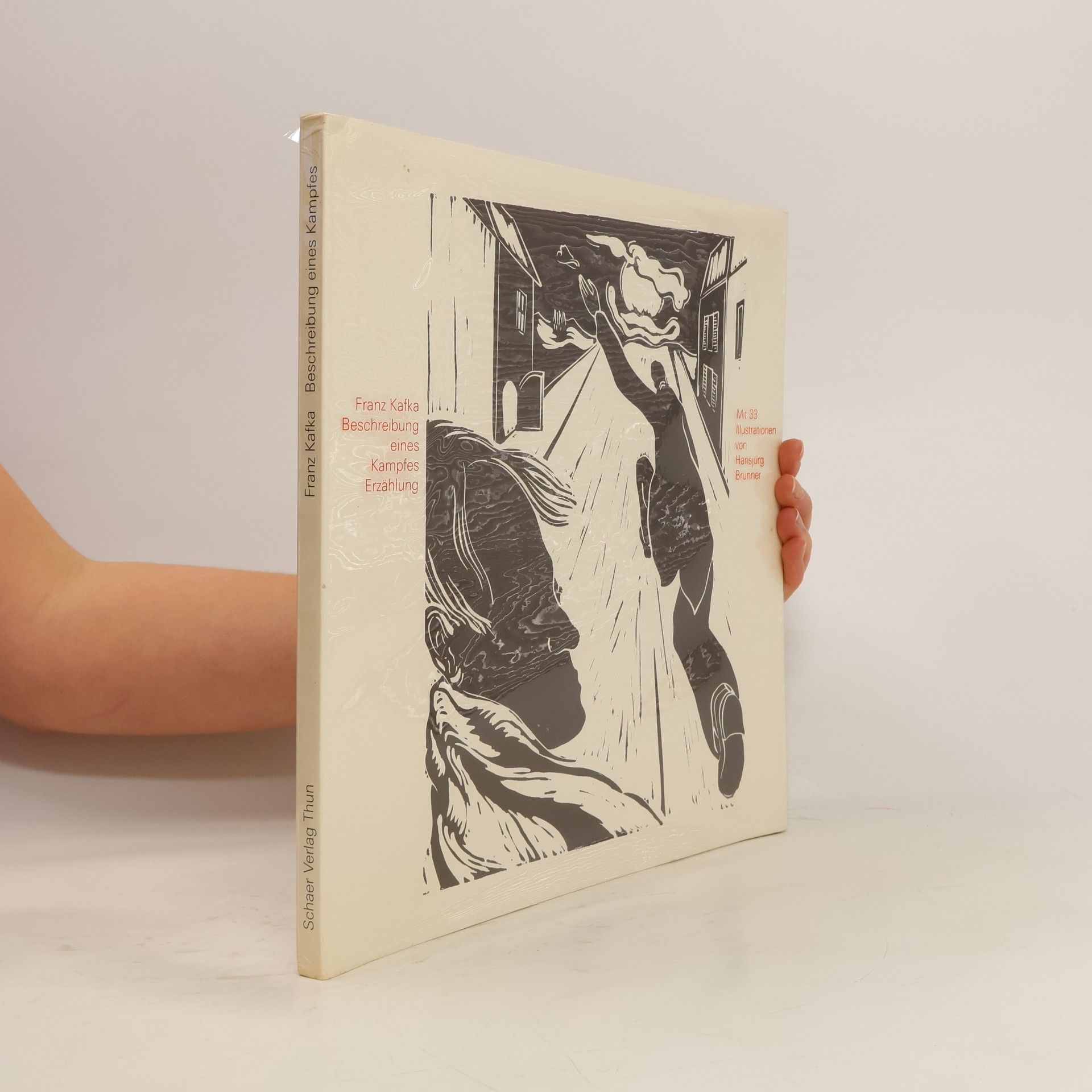 Franz Kafka Beschreibung eines Kampfes Erzählung