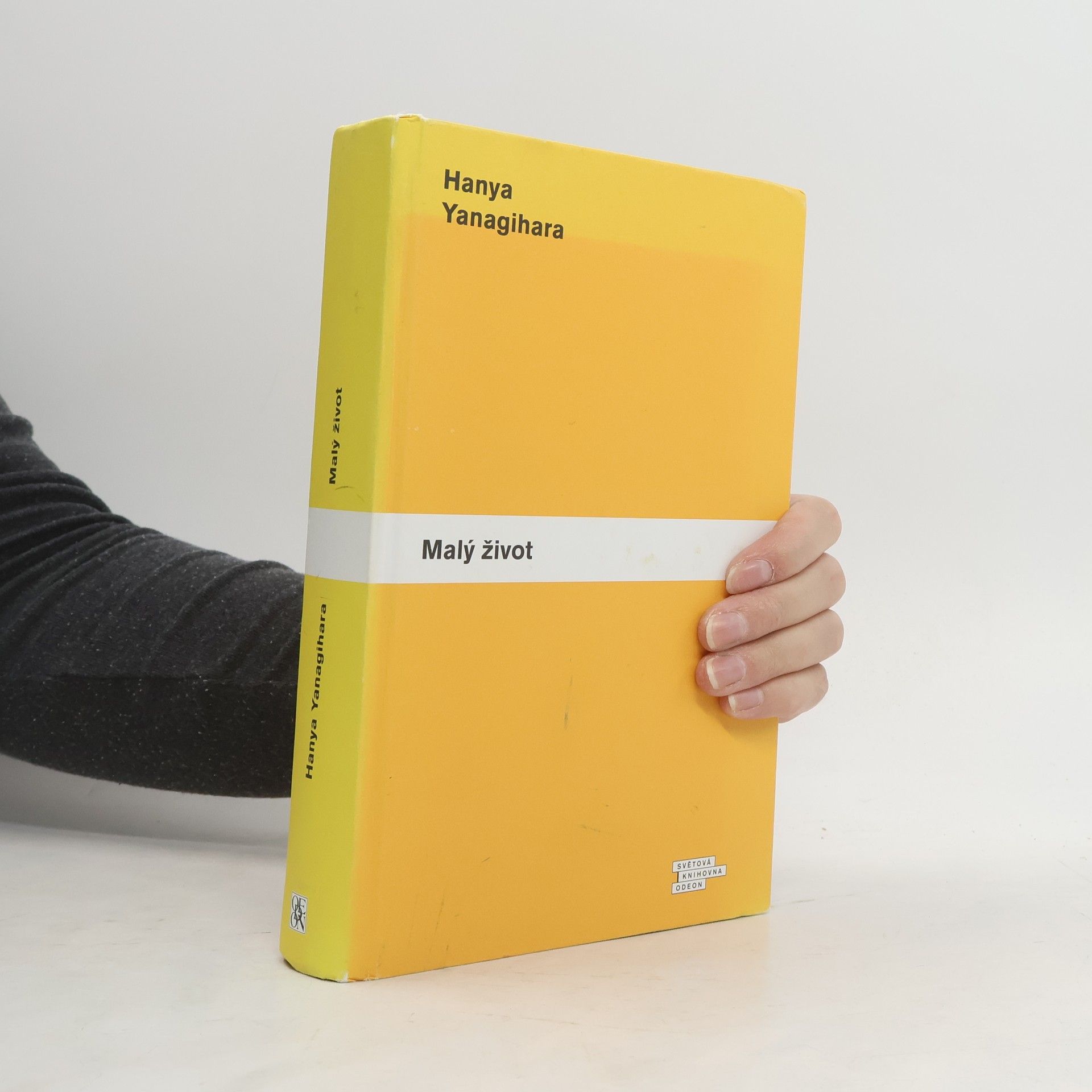 Hanya Yanagihara Malý život