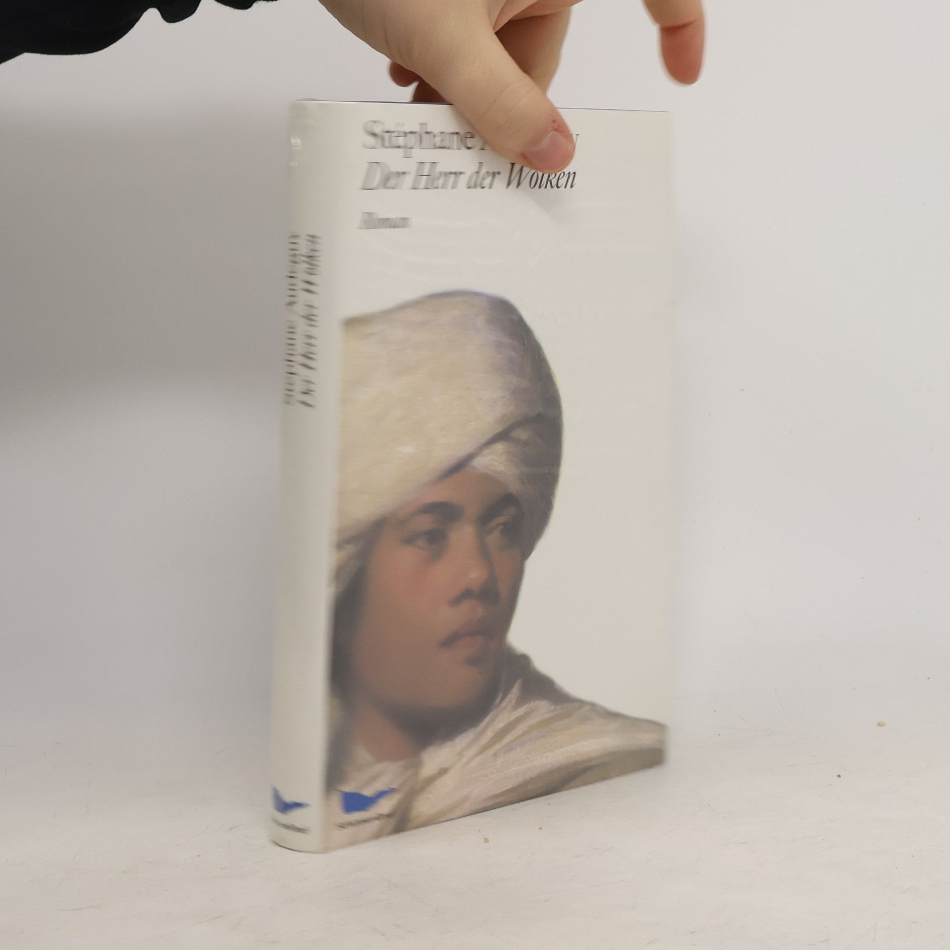 Stéphane Audeguy Der Herr der Wolken